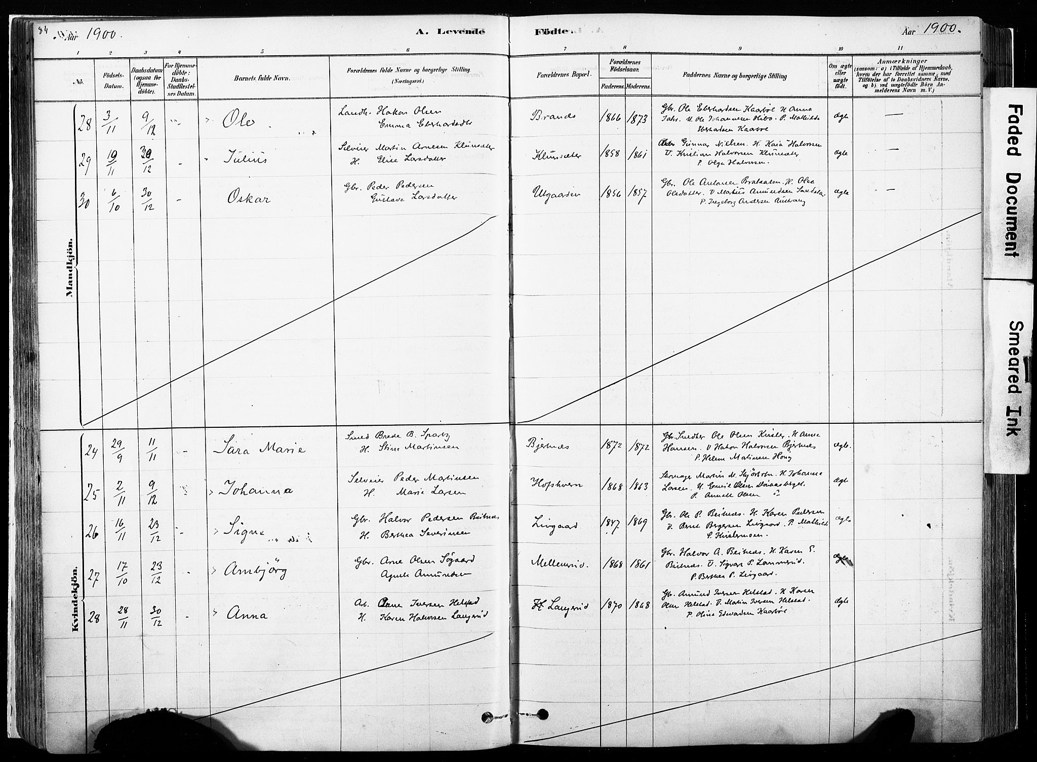 Hof prestekontor, AV/SAH-PREST-038/H/Ha/Haa/L0010: Parish register (official) no. 10, 1878-1909, p. 84