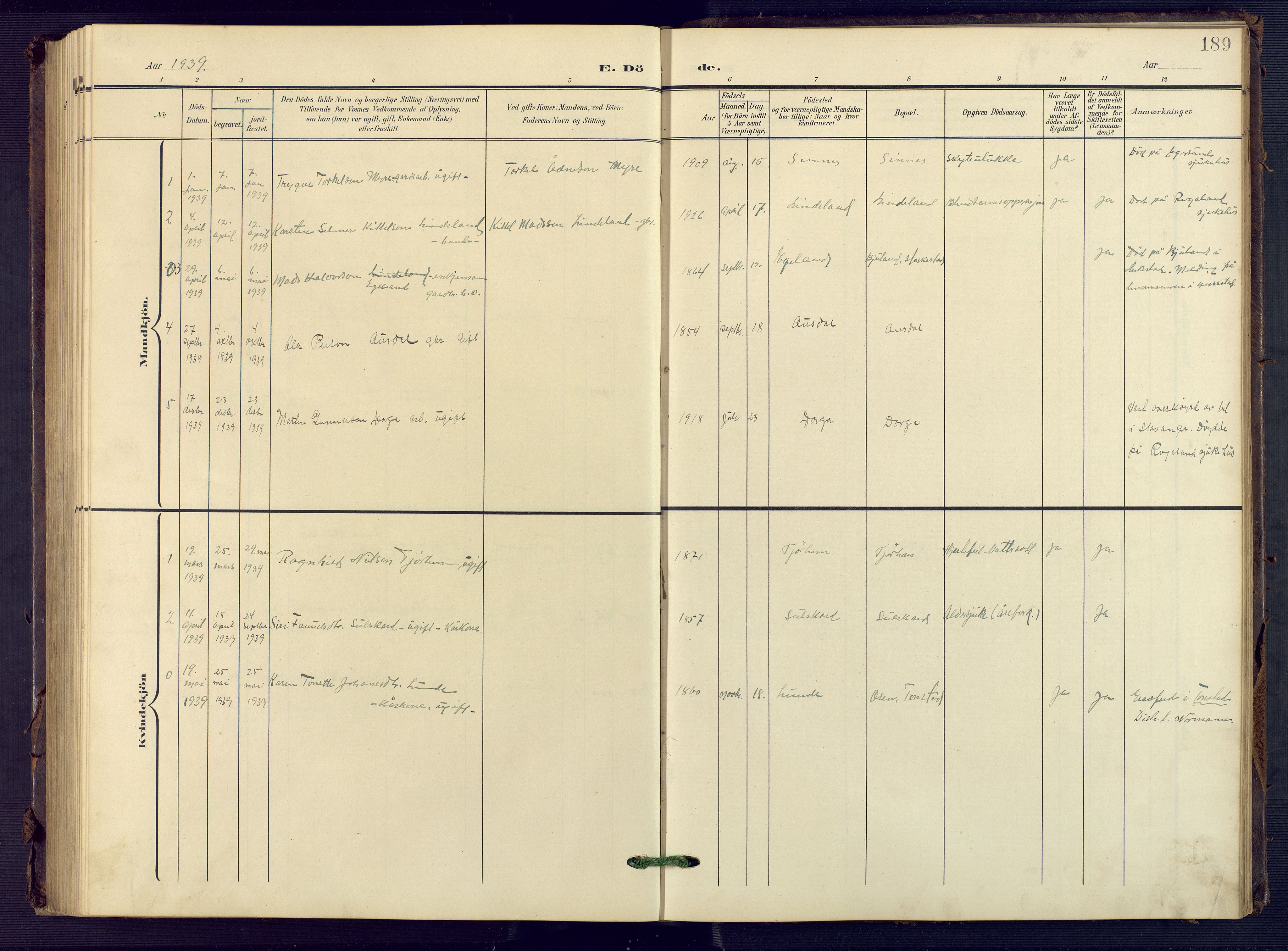 Sirdal sokneprestkontor, AV/SAK-1111-0036/F/Fb/Fba/L0002: Parish register (copy) no. B 2, 1905-1958, p. 189