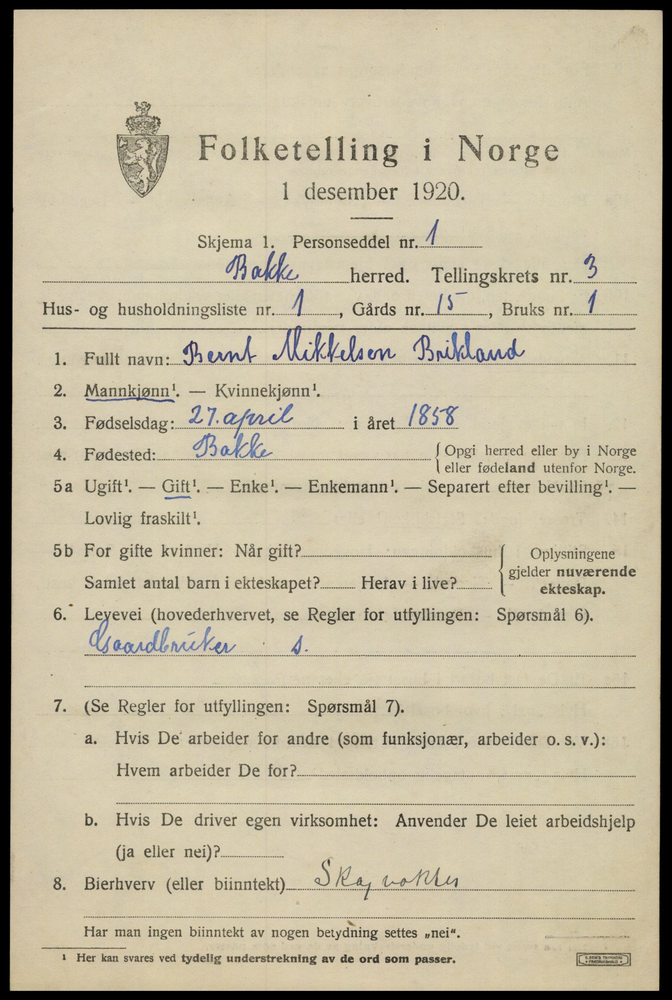 SAK, 1920 census for Bakke, 1920, p. 982