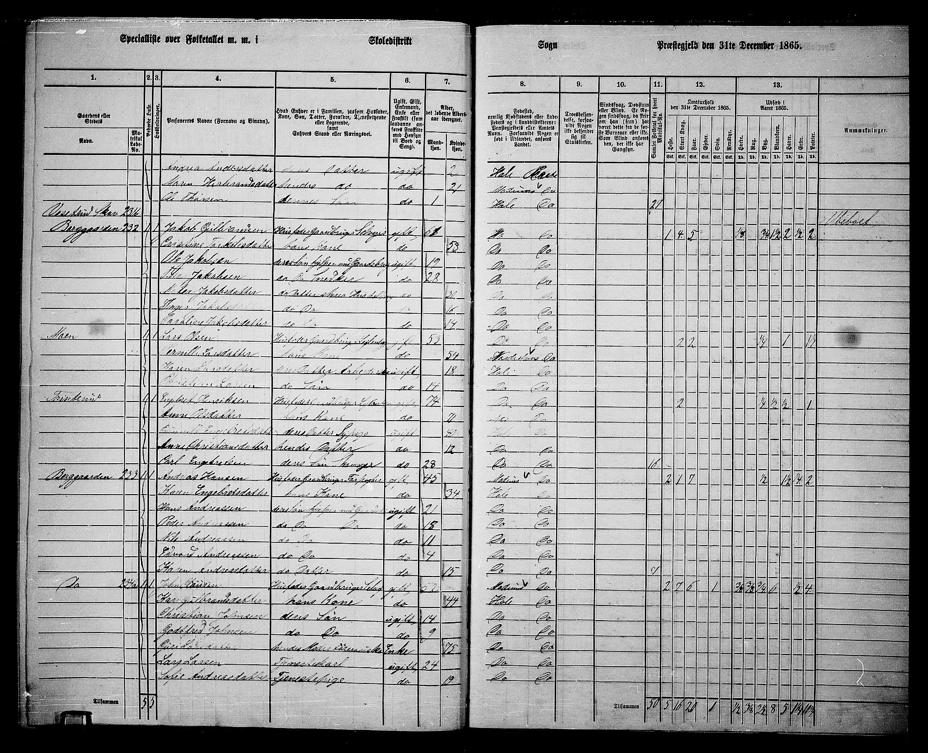 RA, 1865 census for Hole, 1865, p. 160