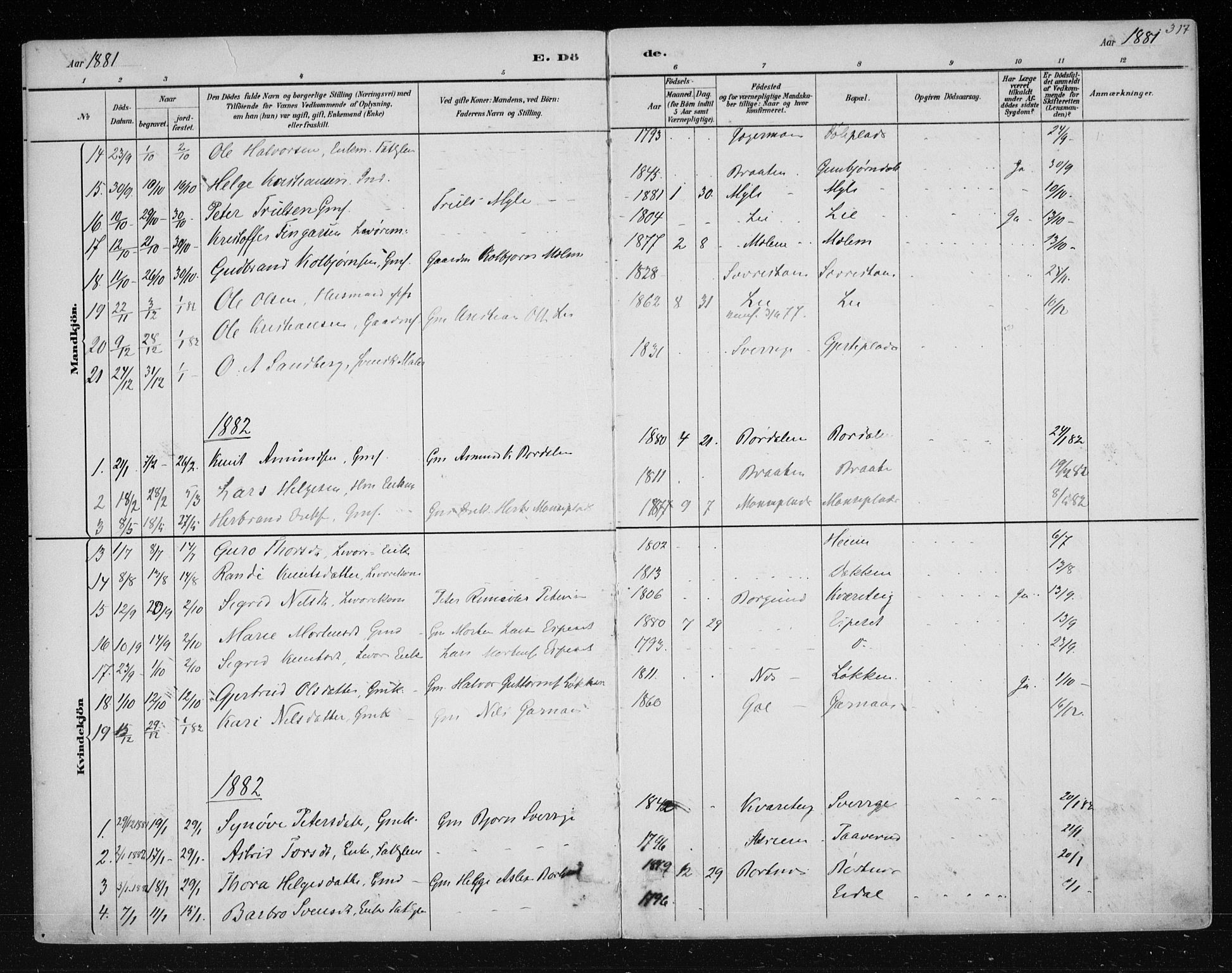 Nes kirkebøker, SAKO/A-236/F/Fa/L0011: Parish register (official) no. 11, 1881-1912, p. 317