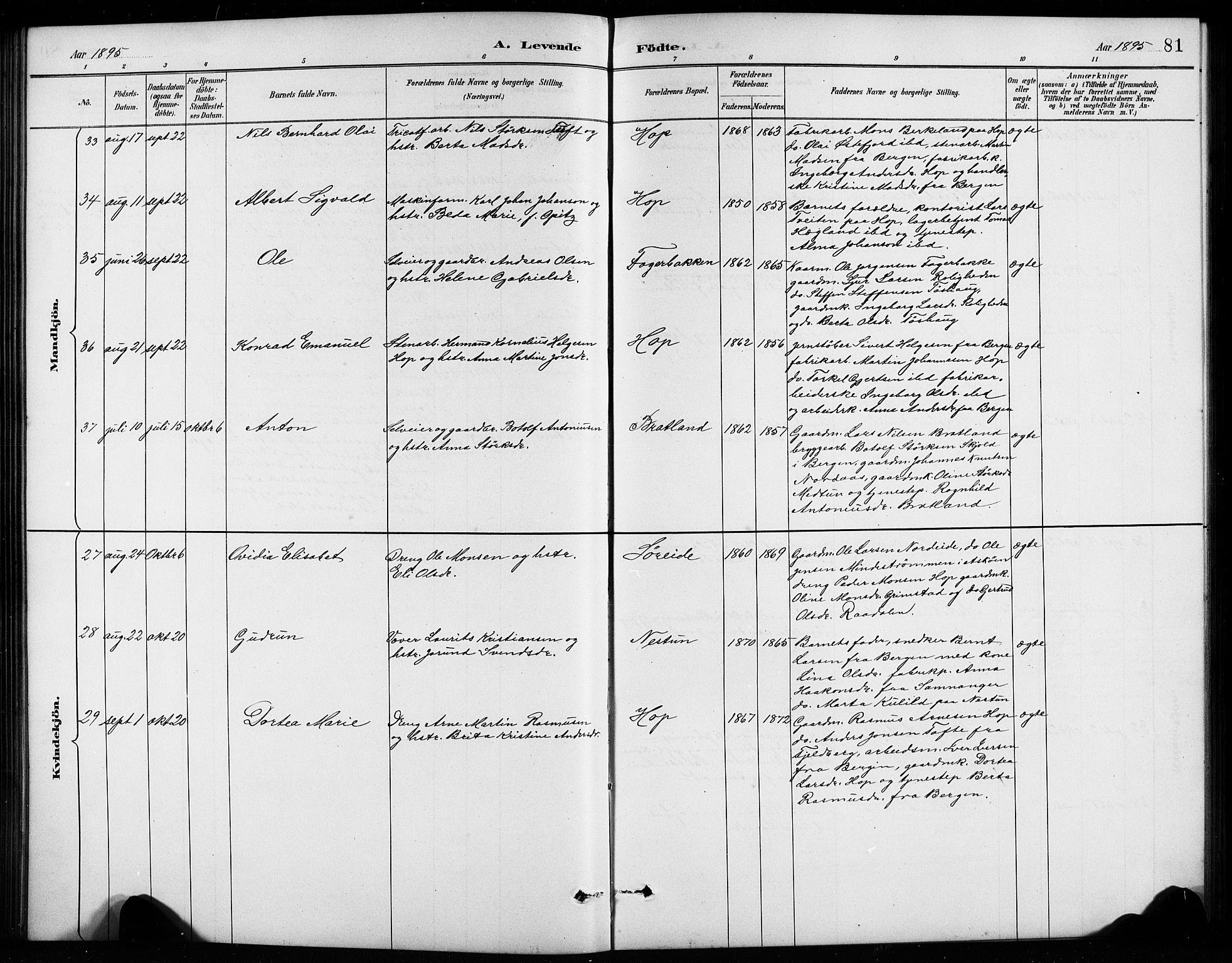 Birkeland Sokneprestembete, AV/SAB-A-74601/H/Hab: Parish register (copy) no. A 4, 1888-1897, p. 81