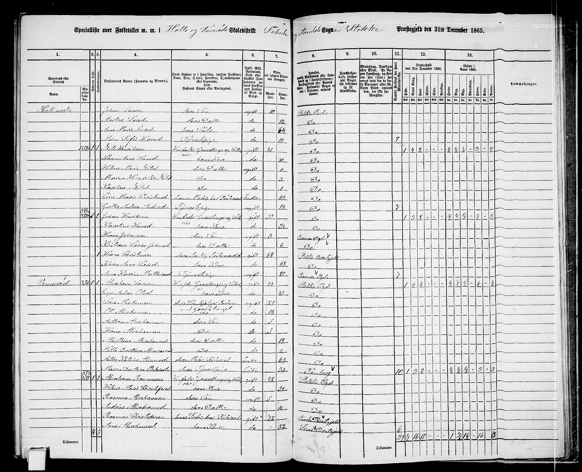 RA, 1865 census for Stokke, 1865, p. 171