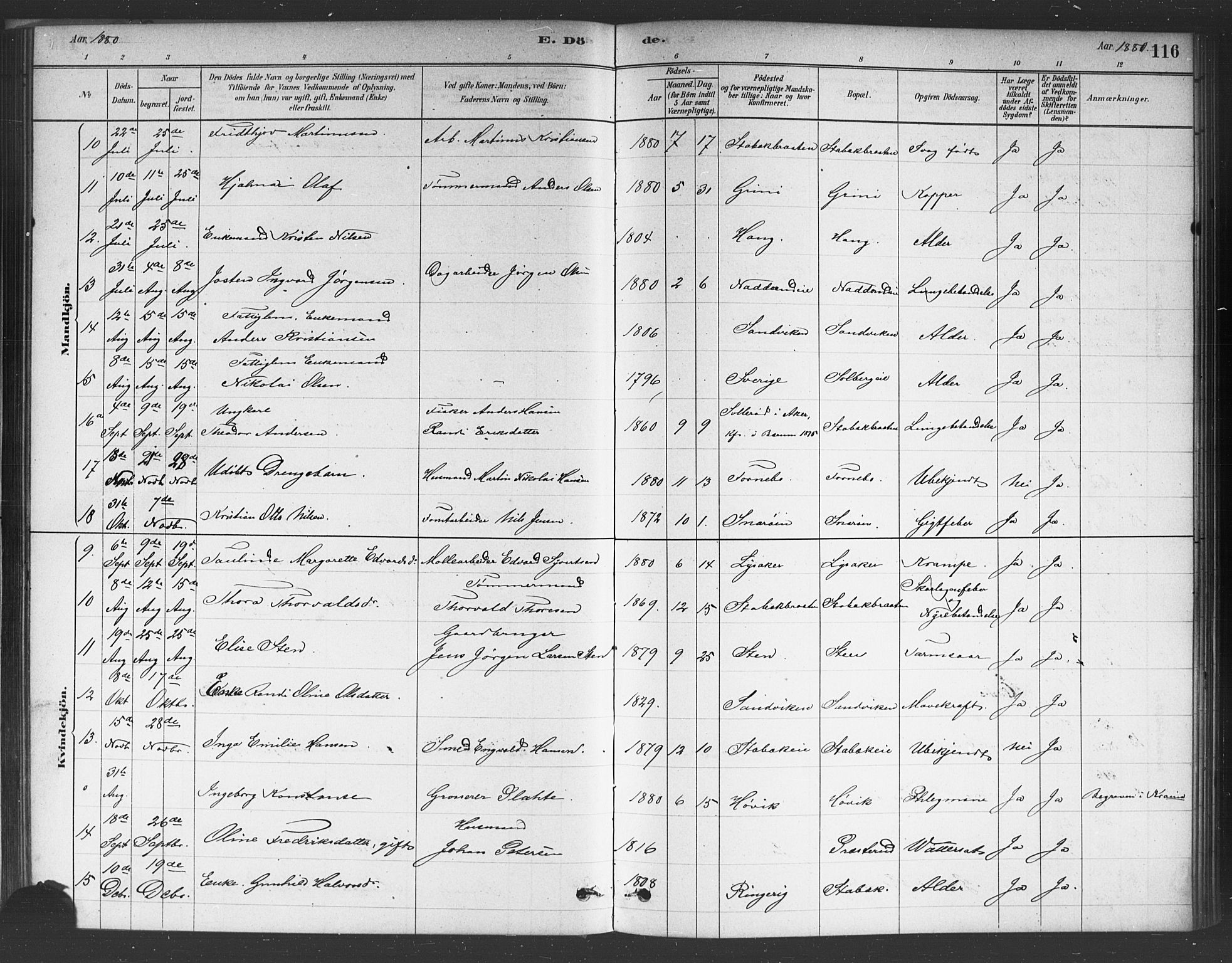 Asker prestekontor Kirkebøker, AV/SAO-A-10256a/F/Fc/L0001: Parish register (official) no. III 1, 1879-1892, p. 116