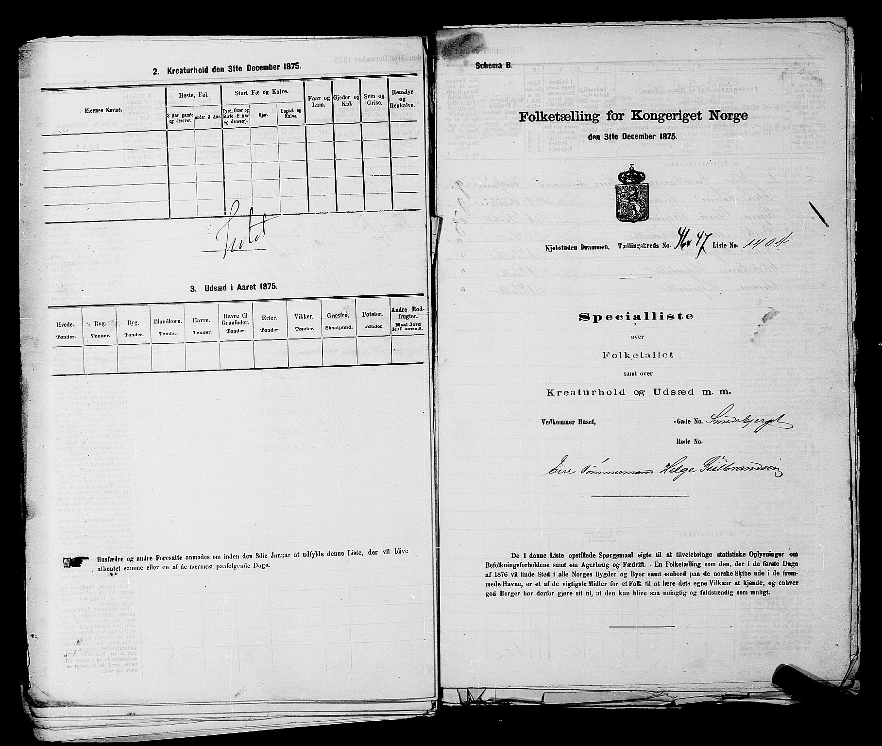 SAKO, 1875 census for 0602 Drammen, 1875, p. 3780