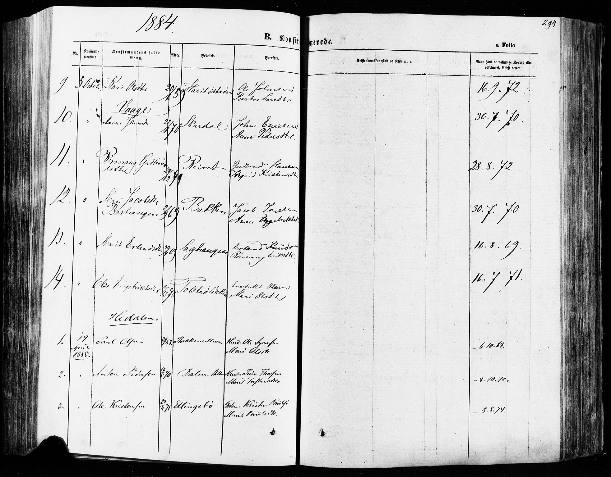 Vågå prestekontor, AV/SAH-PREST-076/H/Ha/Haa/L0007: Parish register (official) no. 7 /1, 1872-1886, p. 294