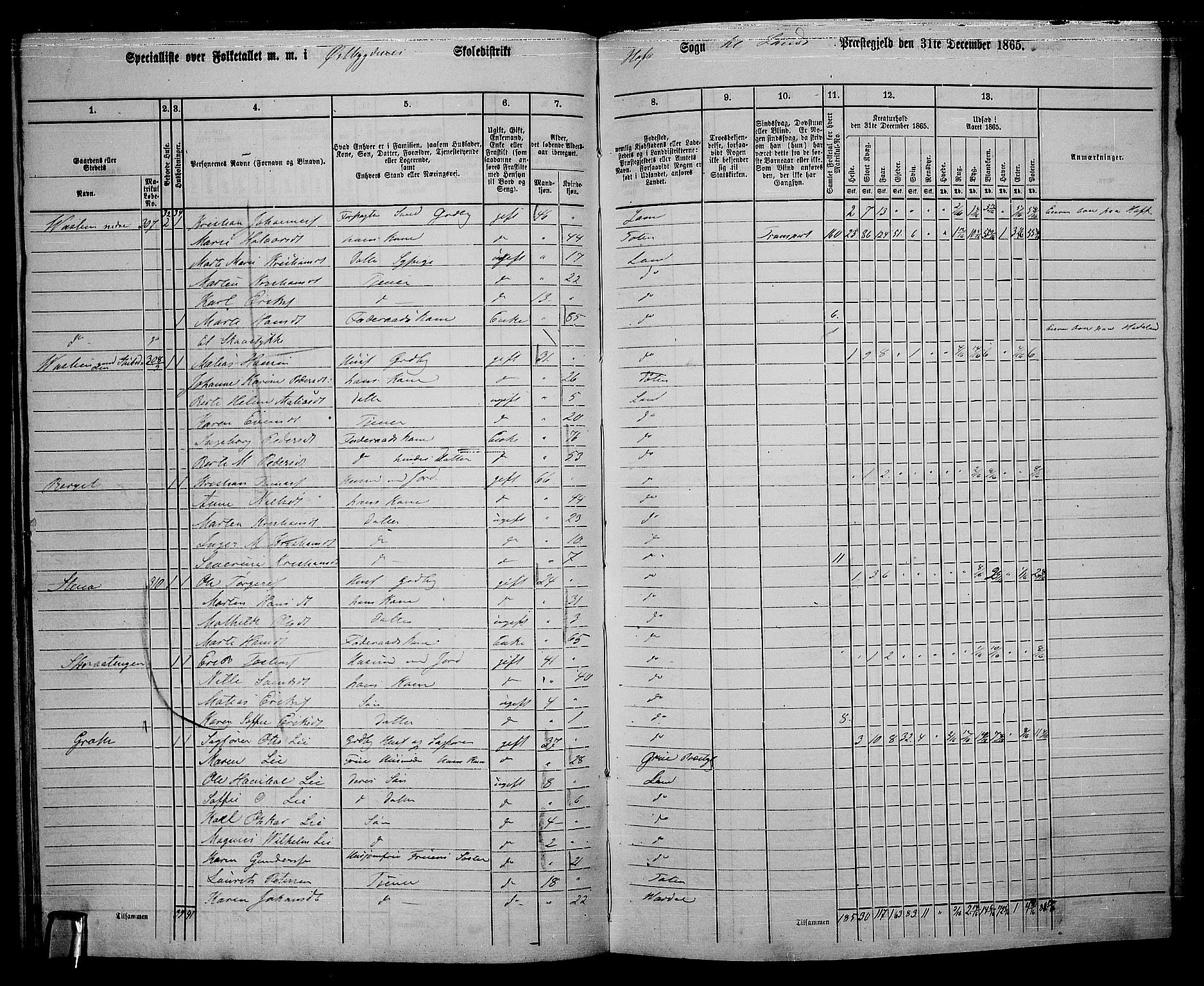 RA, 1865 census for Land, 1865, p. 335