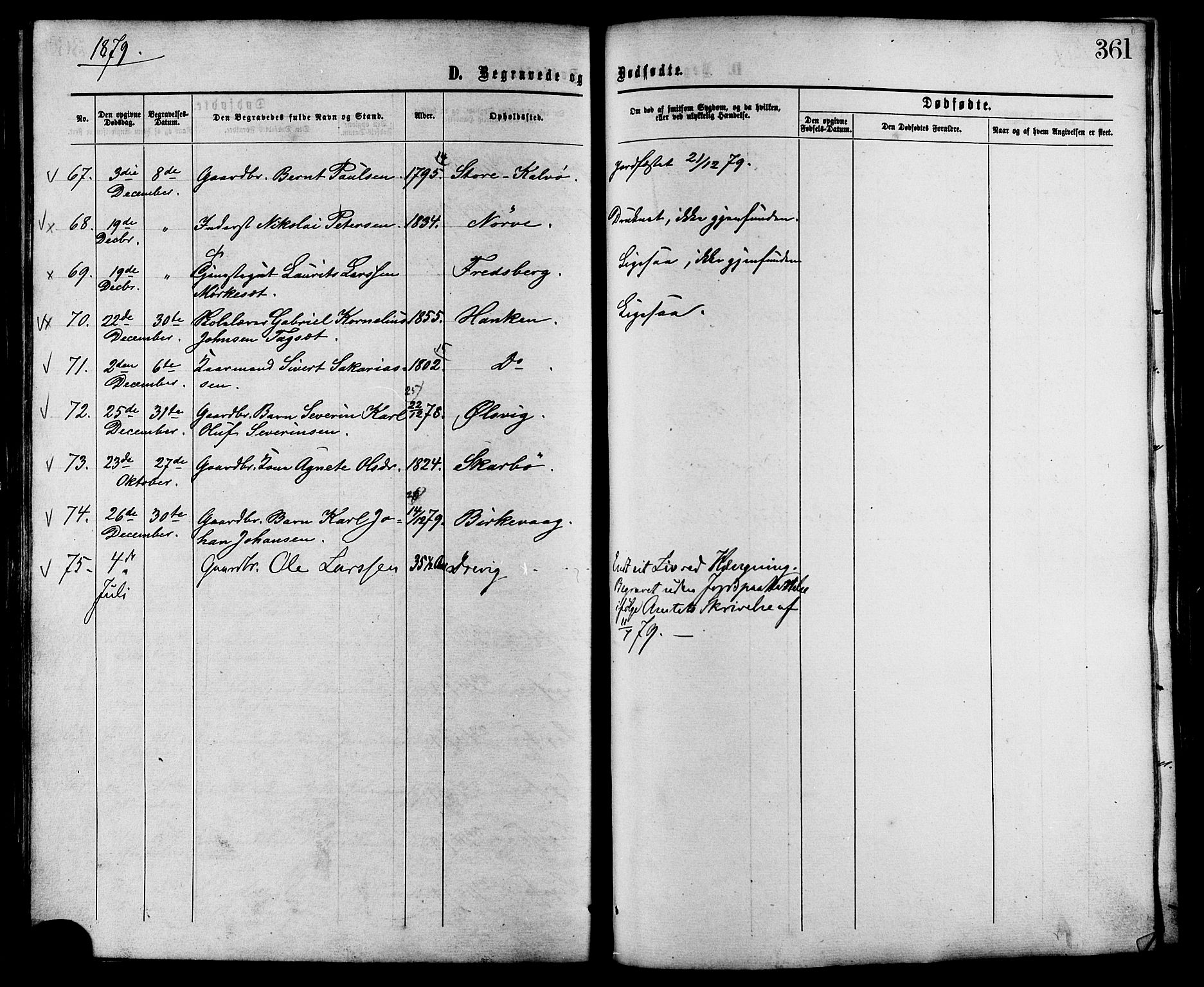 Ministerialprotokoller, klokkerbøker og fødselsregistre - Møre og Romsdal, AV/SAT-A-1454/528/L0399: Parish register (official) no. 528A10, 1864-1879, p. 361