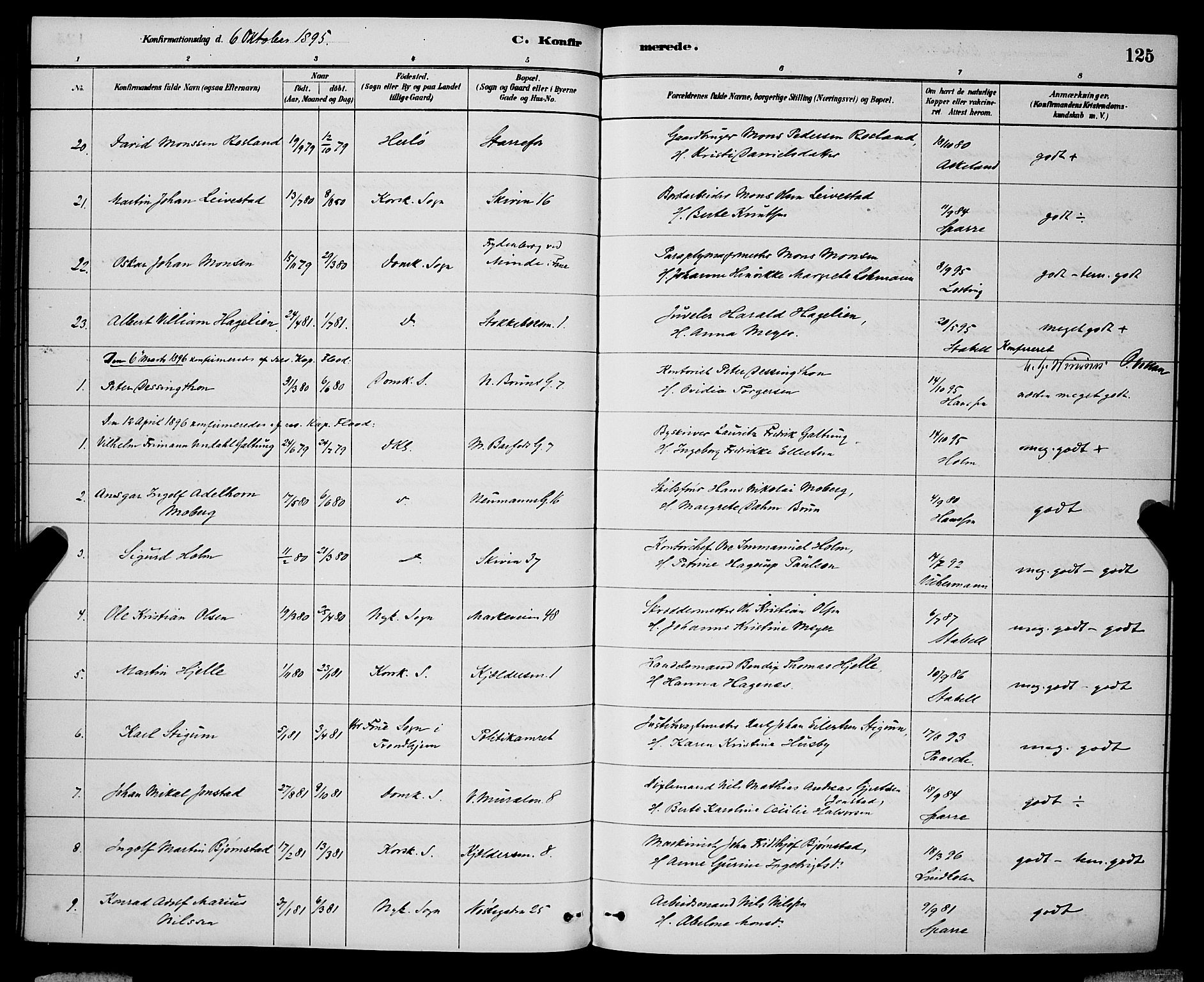 Domkirken sokneprestembete, SAB/A-74801/H/Hab/L0024: Parish register (copy) no. C 4, 1880-1899, p. 125