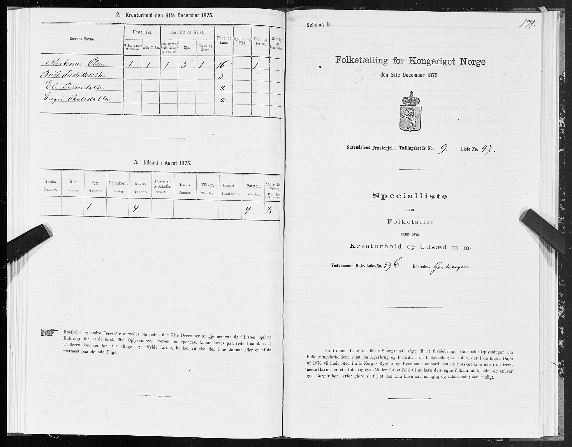 SAT, 1875 census for 1566P Surnadal, 1875, p. 4178