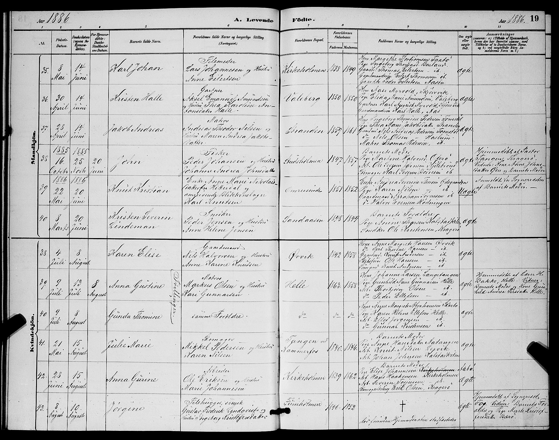Skåtøy kirkebøker, SAKO/A-304/G/Ga/L0003: Parish register (copy) no. I 3, 1884-1898, p. 19