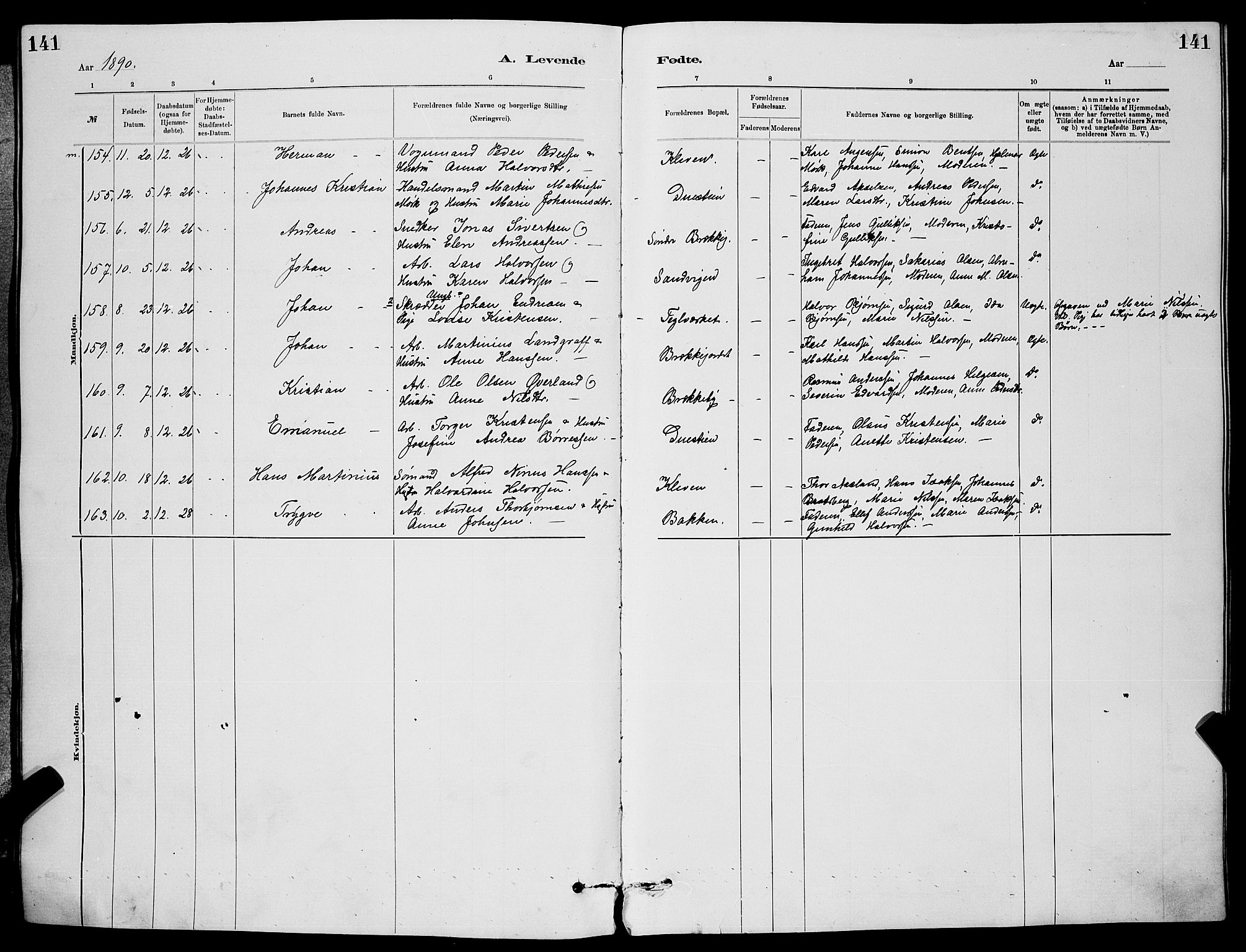 Skien kirkebøker, SAKO/A-302/G/Ga/L0006: Parish register (copy) no. 6, 1881-1890, p. 141