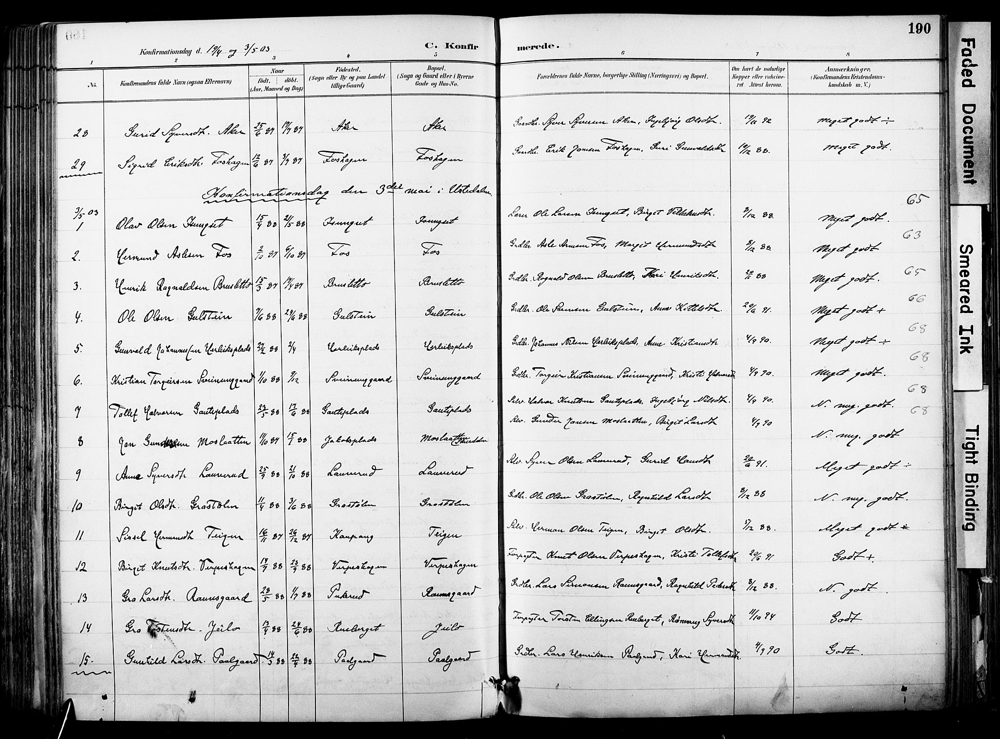 Hol kirkebøker, SAKO/A-227/F/Fa/L0003: Parish register (official) no. I 3, 1887-1918, p. 190