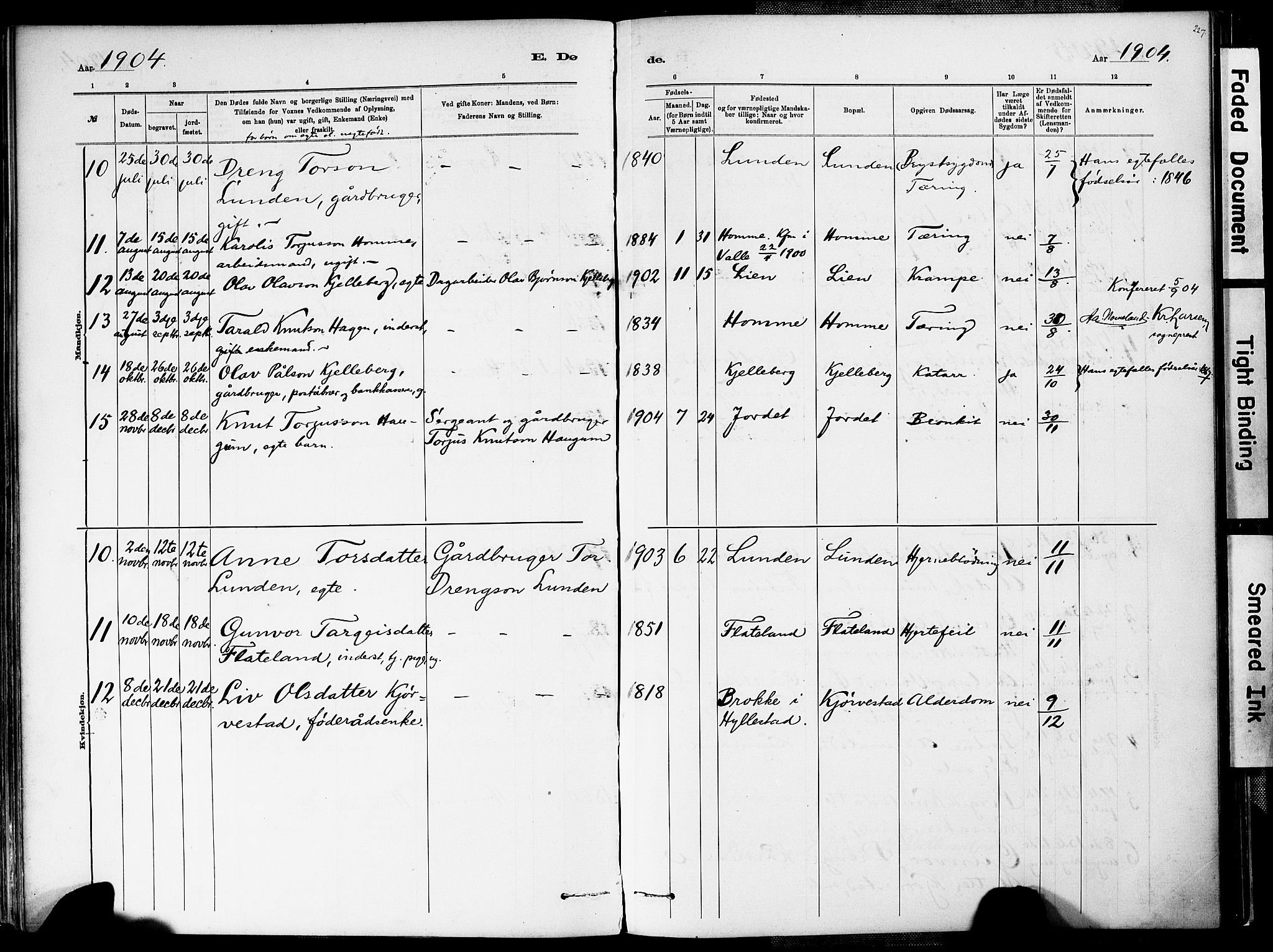 Valle sokneprestkontor, AV/SAK-1111-0044/F/Fa/Fac/L0009: Parish register (official) no. A 9, 1882-1913, p. 227