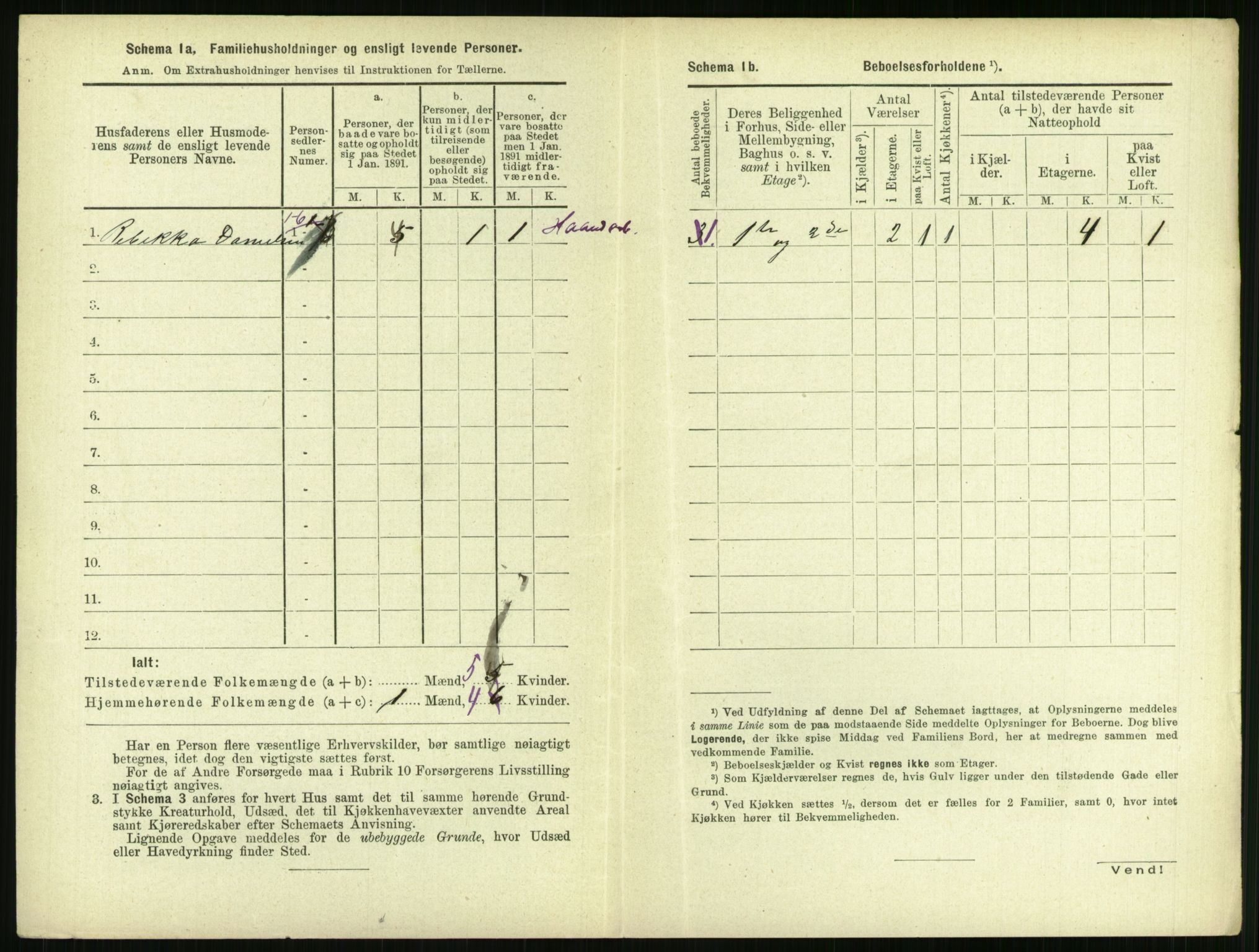 RA, 1891 census for 1106 Haugesund, 1891, p. 965