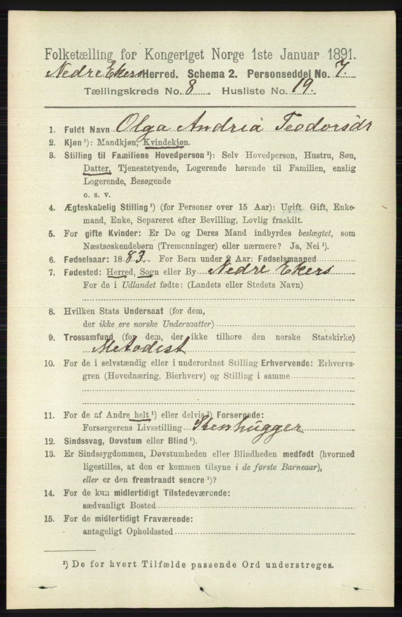 RA, 1891 census for 0625 Nedre Eiker, 1891, p. 4062