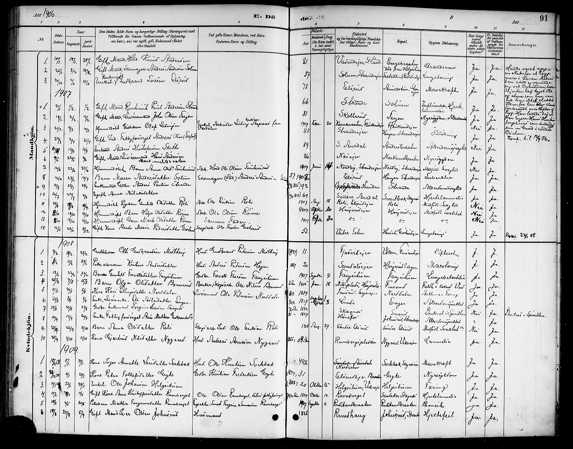 Ådal kirkebøker, AV/SAKO-A-248/G/Ga/L0004: Parish register (copy) no.  I 4, 1891-1920, p. 91
