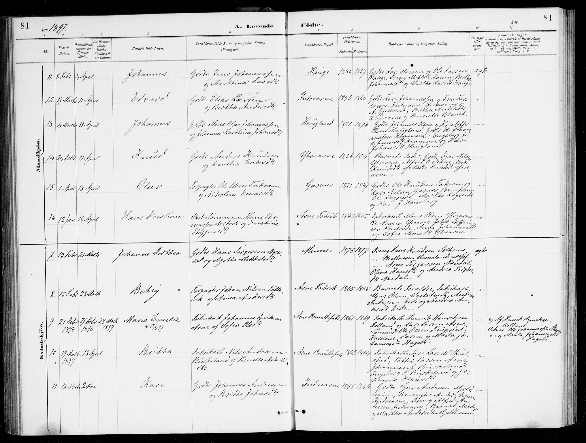 Haus sokneprestembete, AV/SAB-A-75601/H/Haa/Haad/L0001: Parish register (official) no. D 1, 1887-1898, p. 81