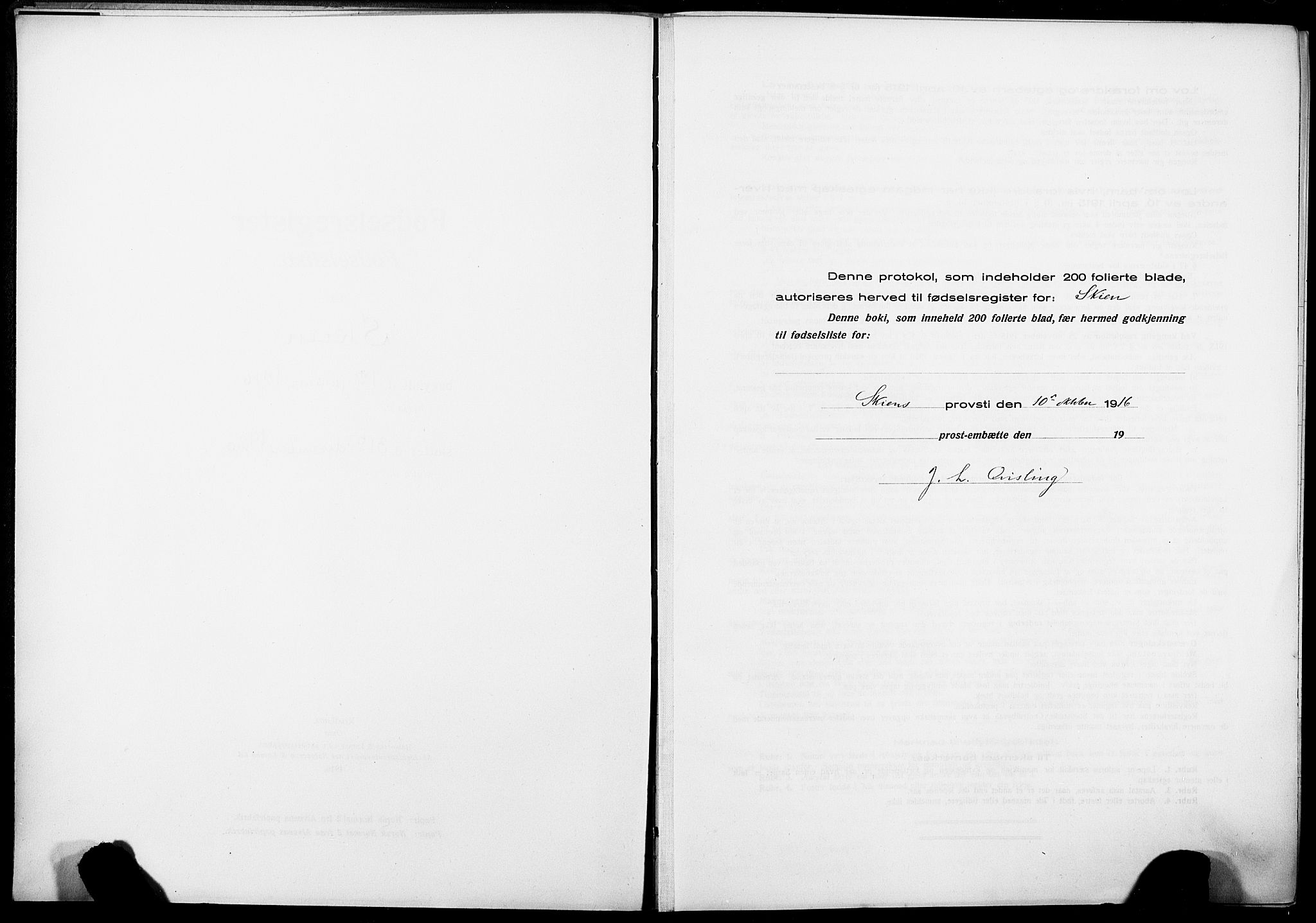Skien kirkebøker, SAKO/A-302/J/Ja/L0001: Birth register no. 1, 1916-1920