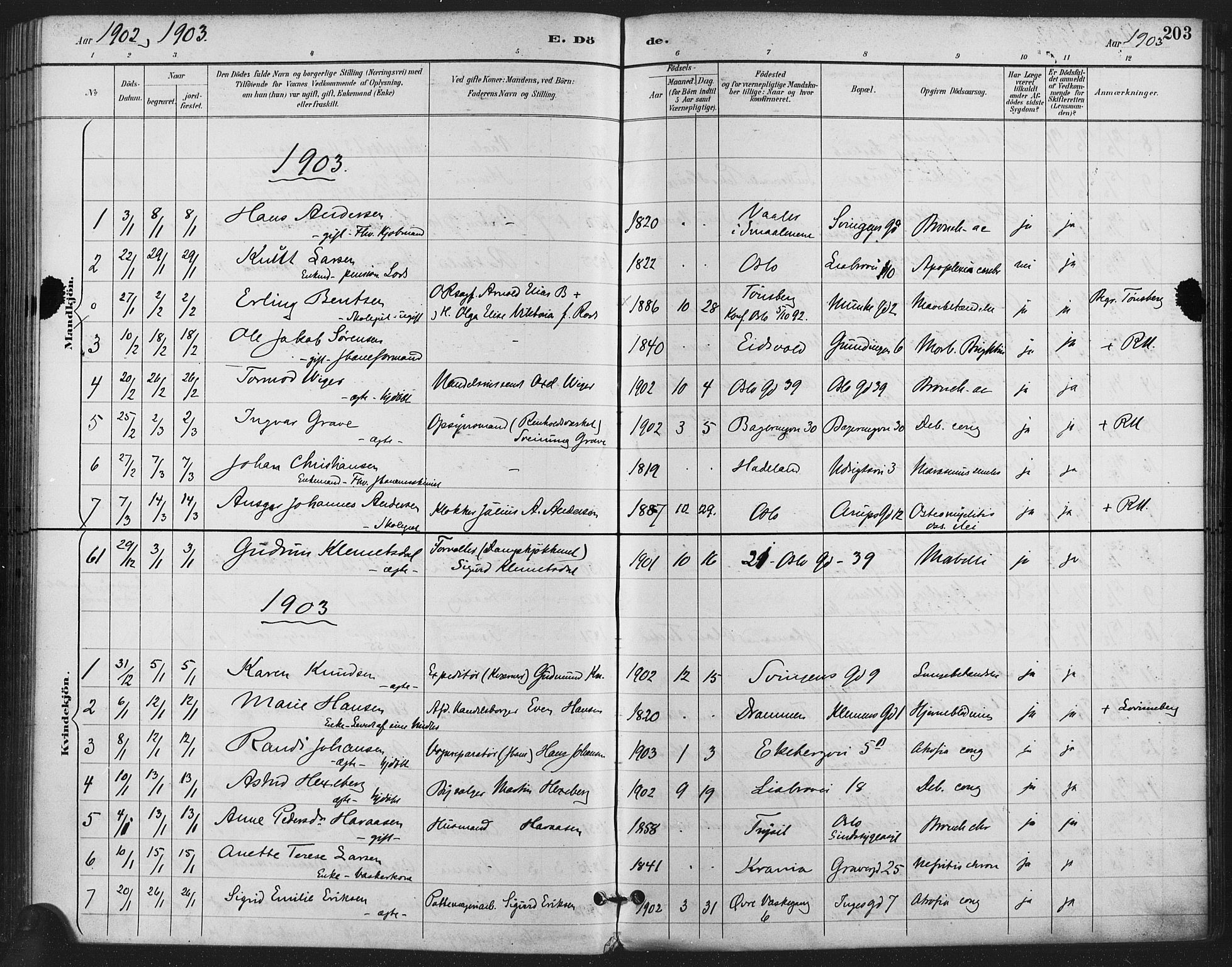 Gamlebyen prestekontor Kirkebøker, SAO/A-10884/F/Fa/L0009: Parish register (official) no. 9, 1888-1909, p. 203