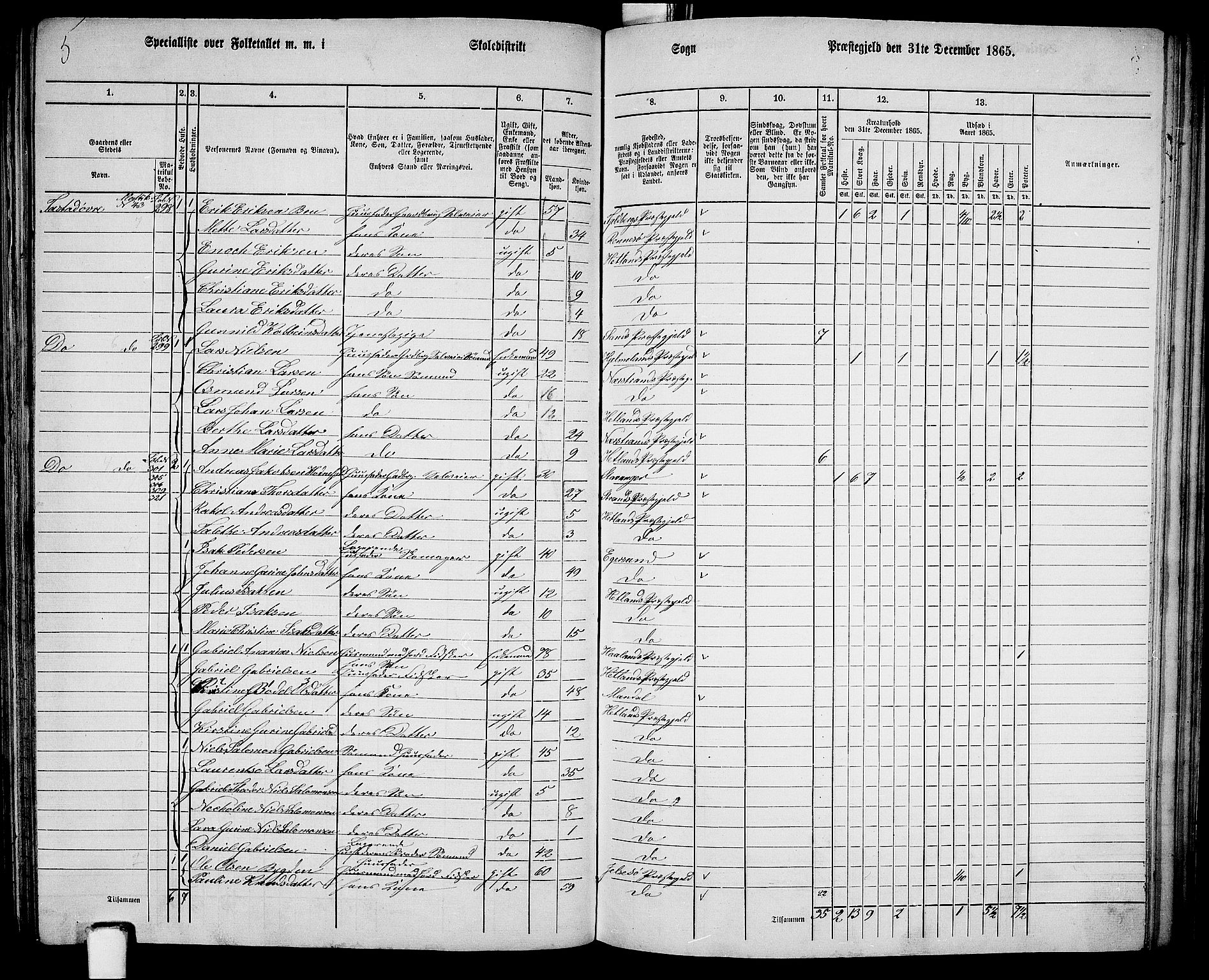 RA, 1865 census for Hetland, 1865, p. 158