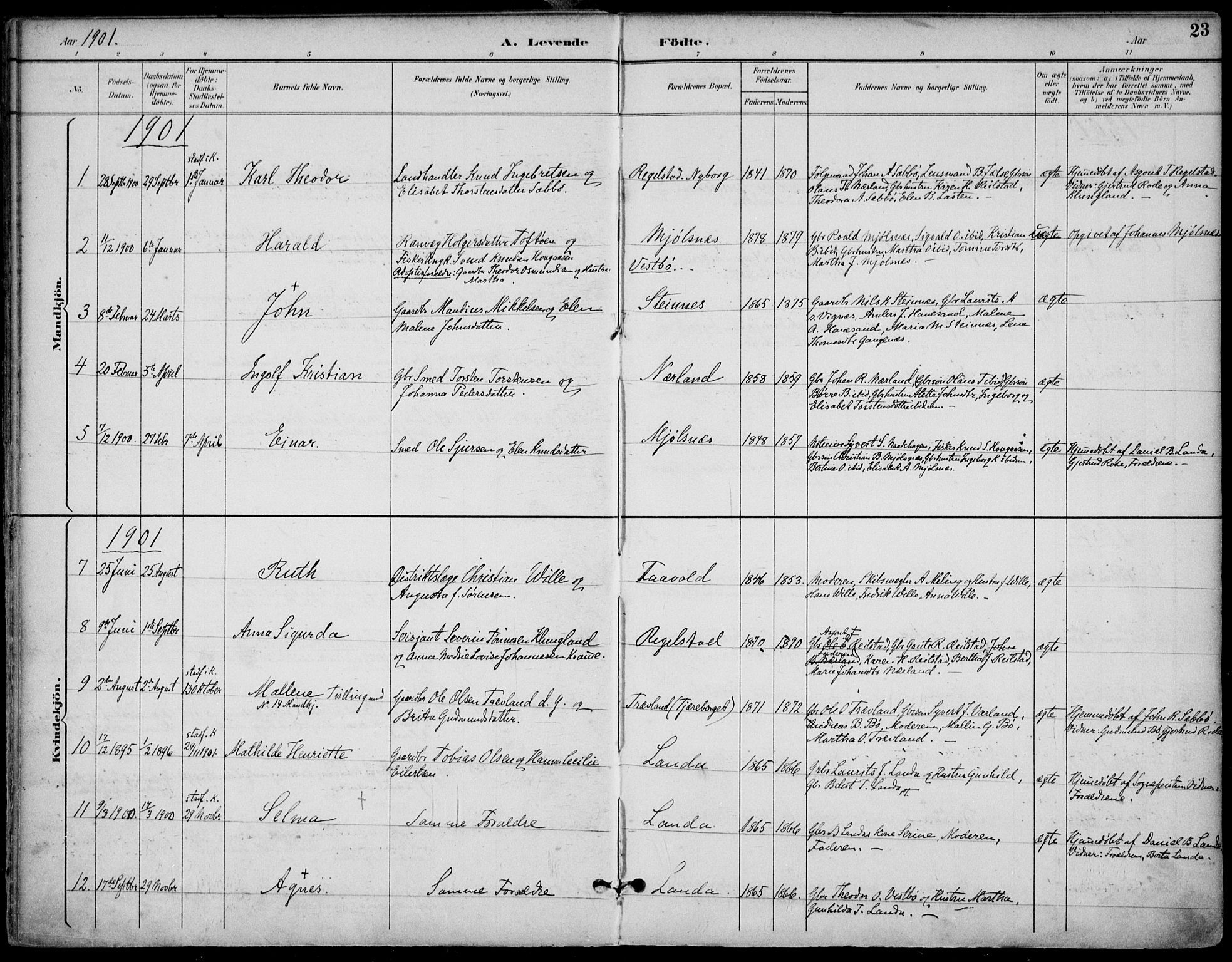Finnøy sokneprestkontor, SAST/A-101825/H/Ha/Haa/L0011: Parish register (official) no. A 11, 1891-1910, p. 23