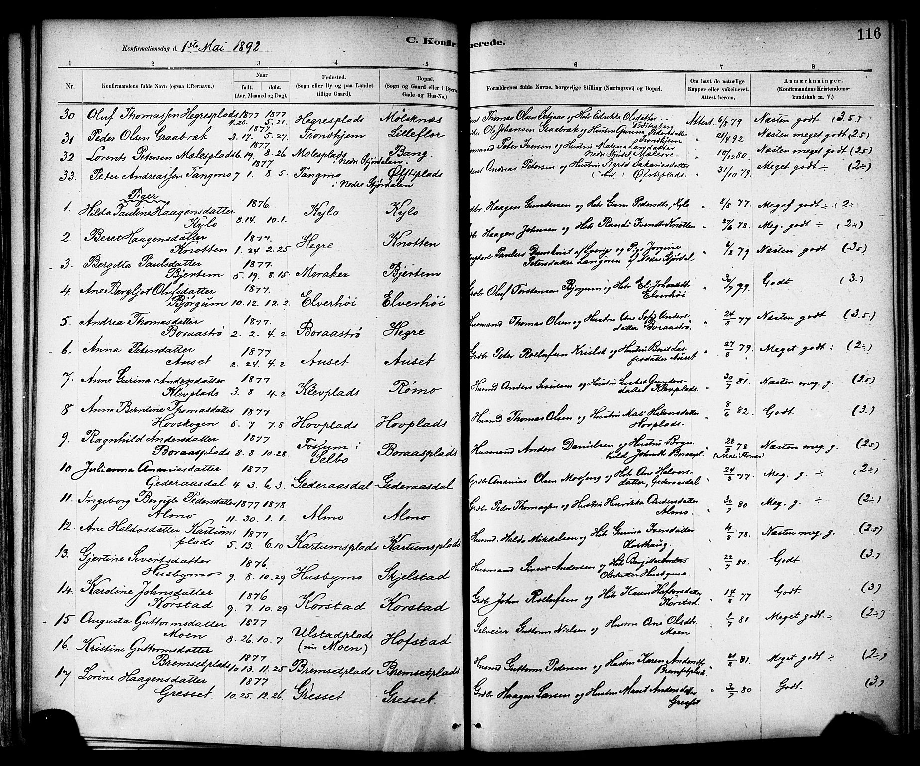 Ministerialprotokoller, klokkerbøker og fødselsregistre - Nord-Trøndelag, SAT/A-1458/703/L0030: Parish register (official) no. 703A03, 1880-1892, p. 116