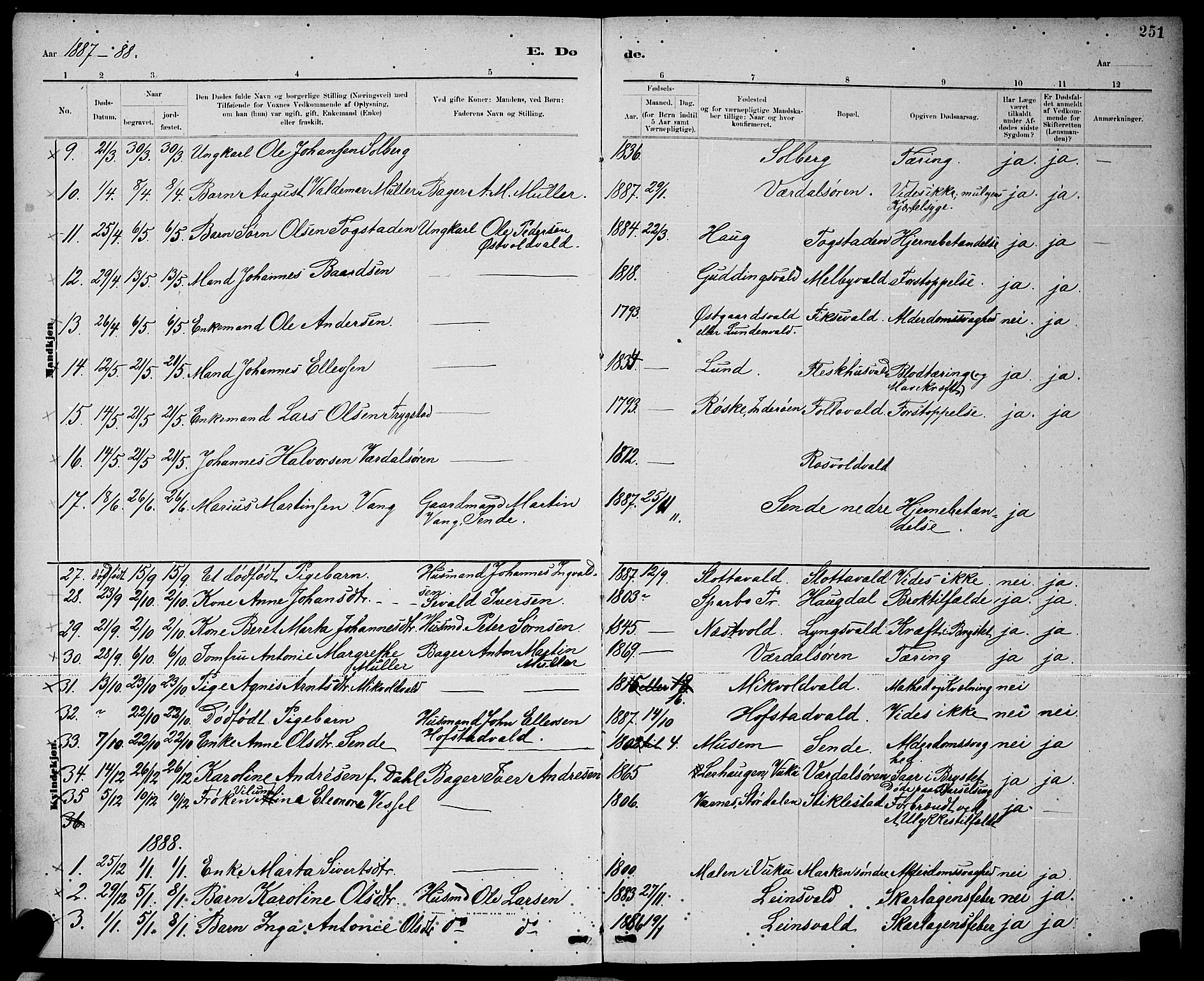Ministerialprotokoller, klokkerbøker og fødselsregistre - Nord-Trøndelag, SAT/A-1458/723/L0256: Parish register (copy) no. 723C04, 1879-1890, p. 251