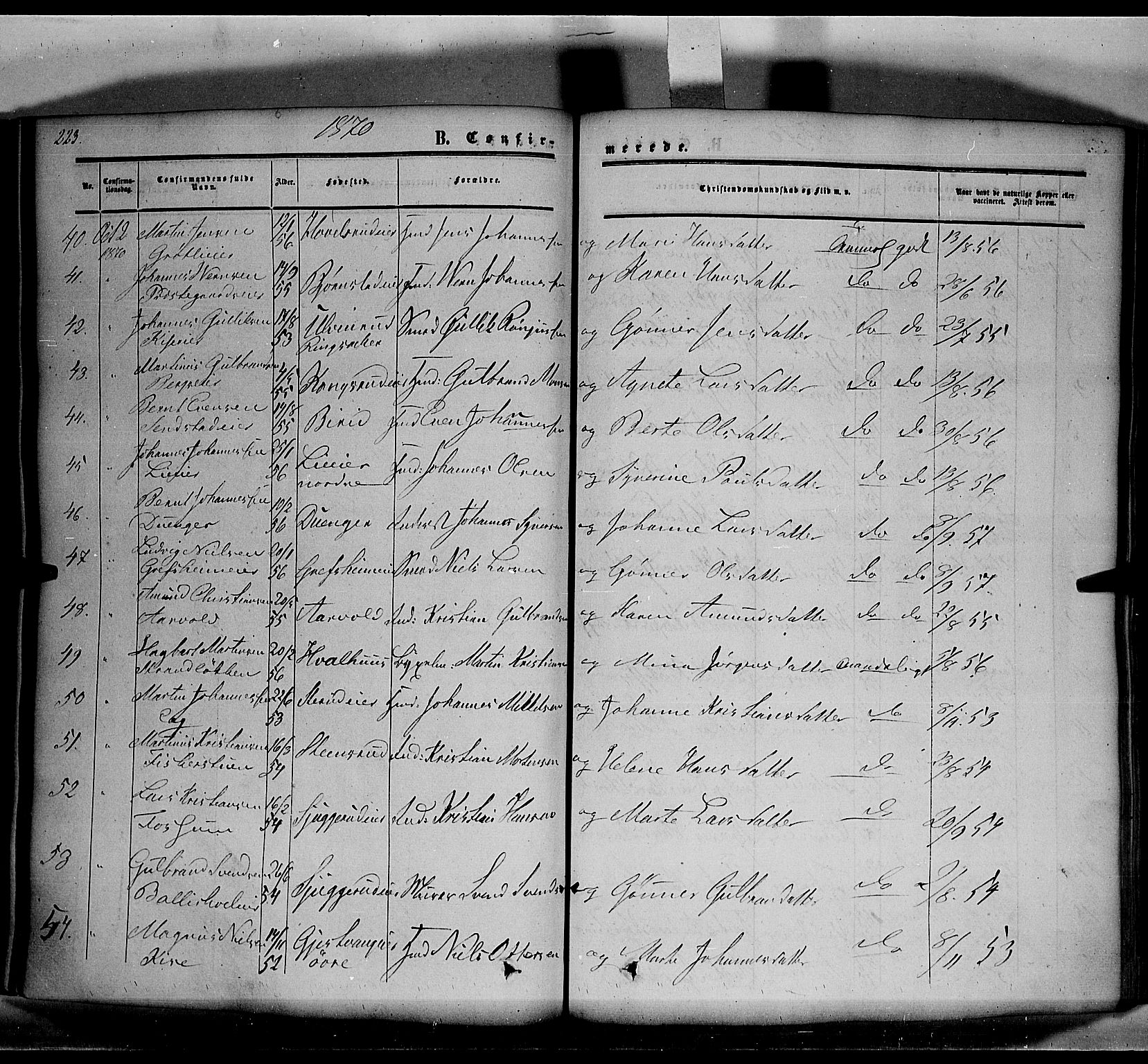 Nes prestekontor, Hedmark, AV/SAH-PREST-020/K/Ka/L0004: Parish register (official) no. 4, 1852-1886, p. 223