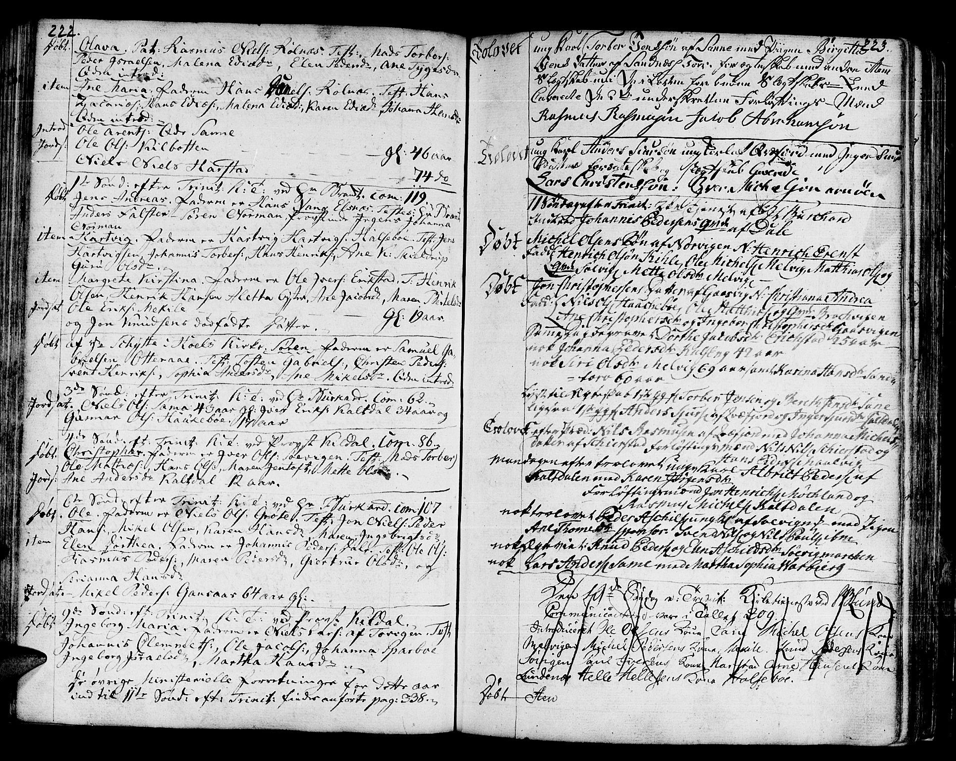 Trondenes sokneprestkontor, AV/SATØ-S-1319/H/Ha/L0003kirke: Parish register (official) no. 3, 1783-1803, p. 222-223