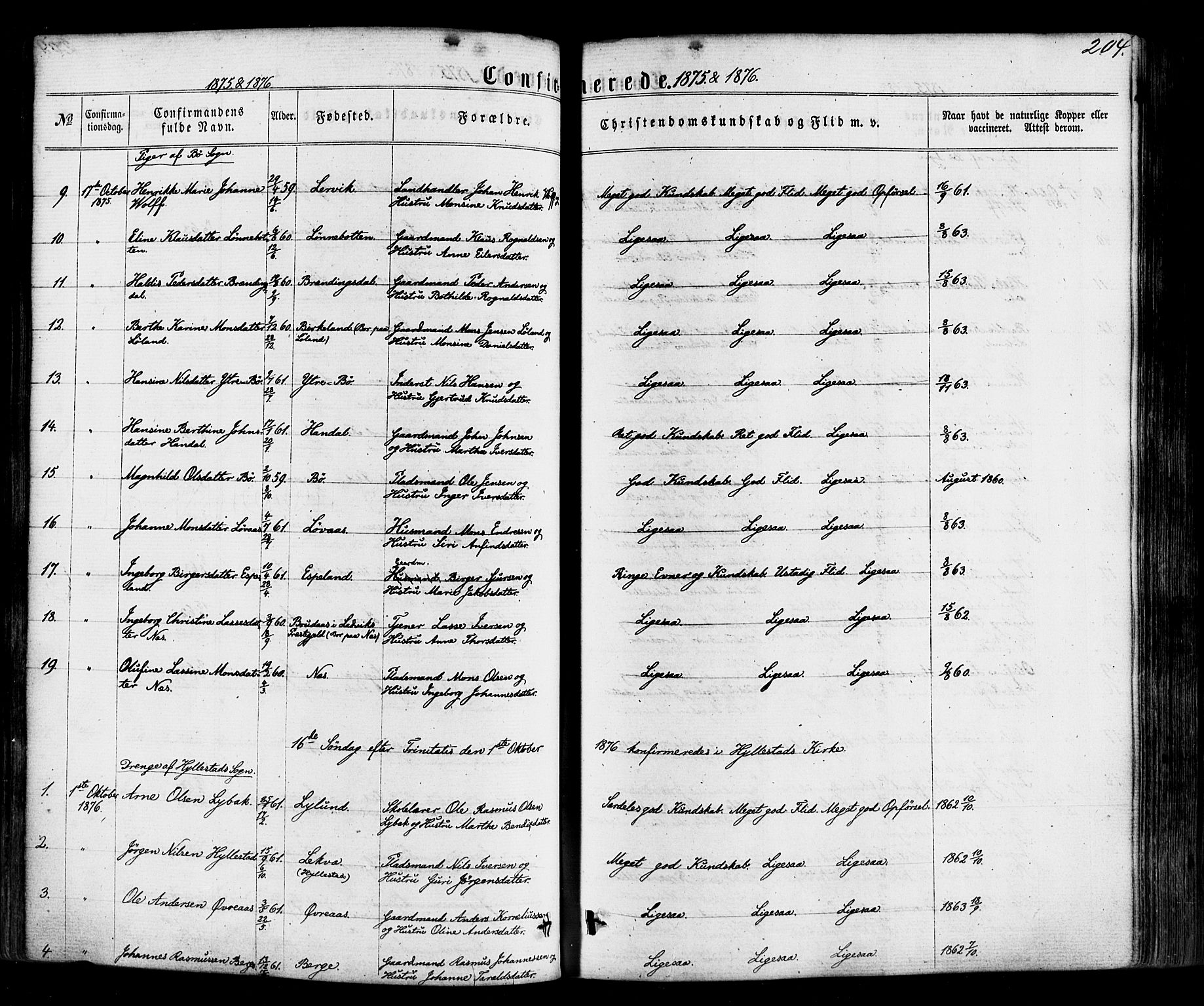 Hyllestad sokneprestembete, AV/SAB-A-80401: Parish register (official) no. A 1, 1861-1886, p. 204