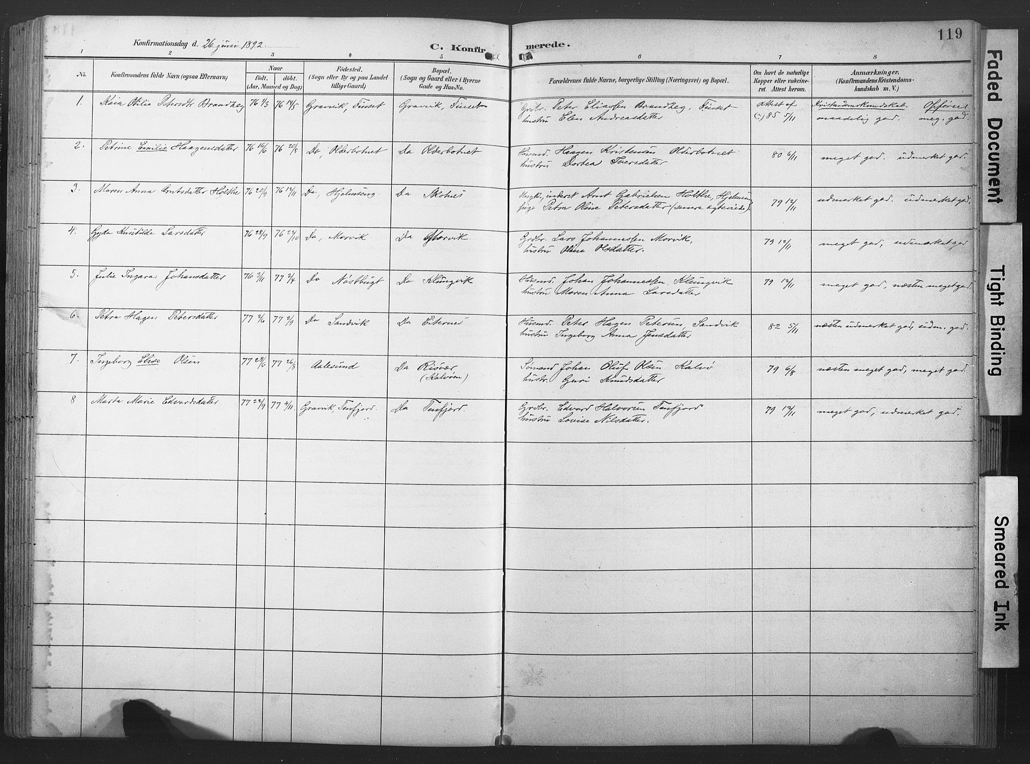 Ministerialprotokoller, klokkerbøker og fødselsregistre - Nord-Trøndelag, SAT/A-1458/789/L0706: Parish register (copy) no. 789C01, 1888-1931, p. 119