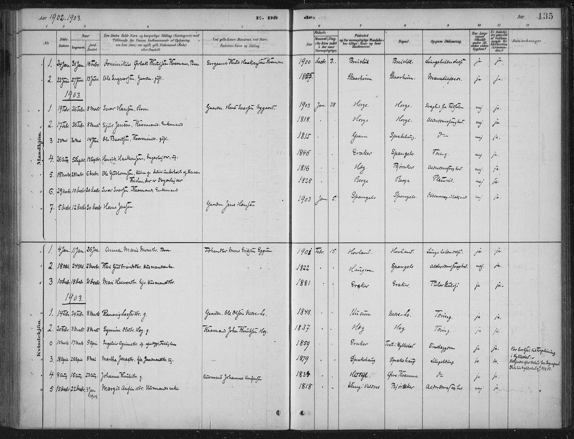 Lærdal sokneprestembete, AV/SAB-A-81201: Parish register (official) no. C  1, 1878-1911, p. 135