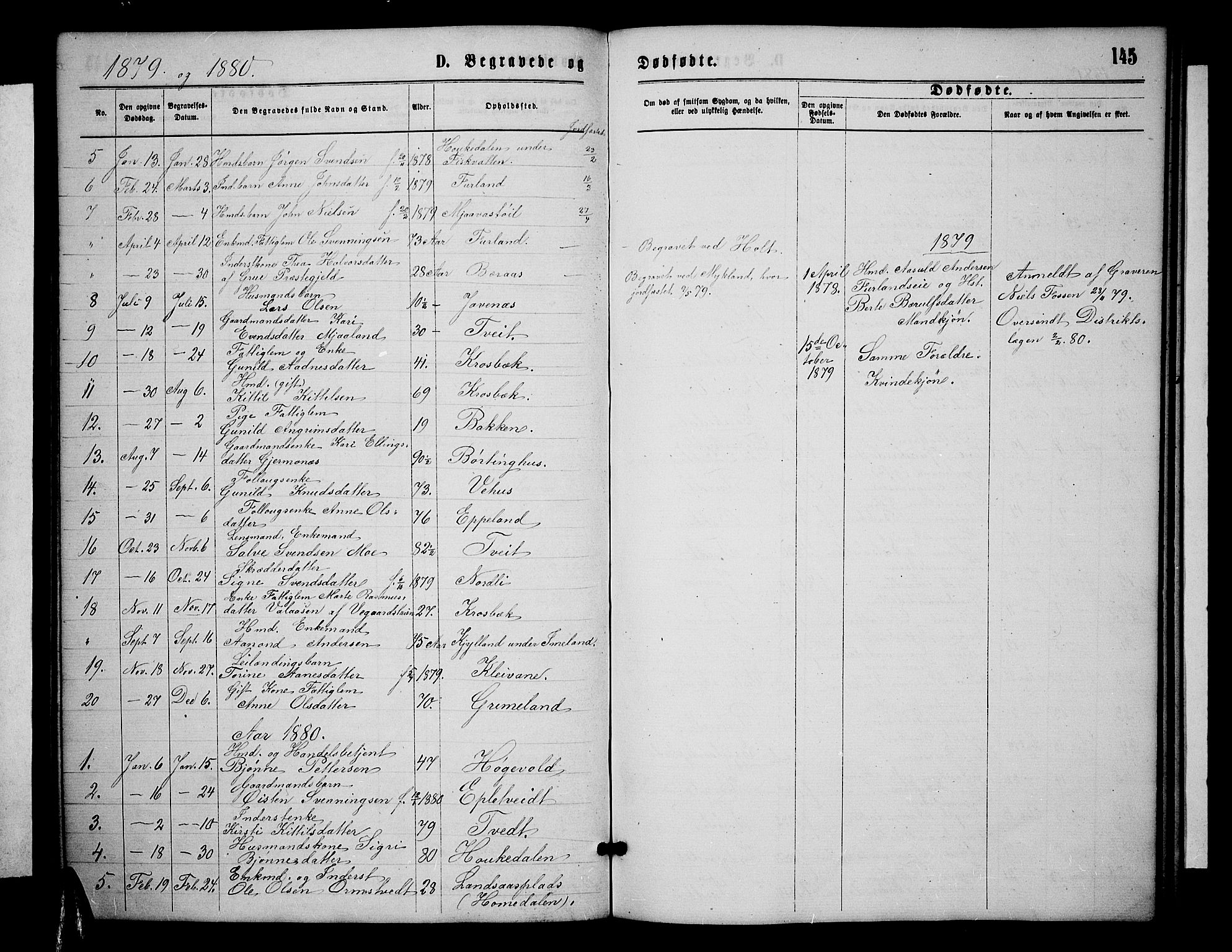 Åmli sokneprestkontor, SAK/1111-0050/F/Fb/Fbc/L0003: Parish register (copy) no. B 3, 1868-1888, p. 145