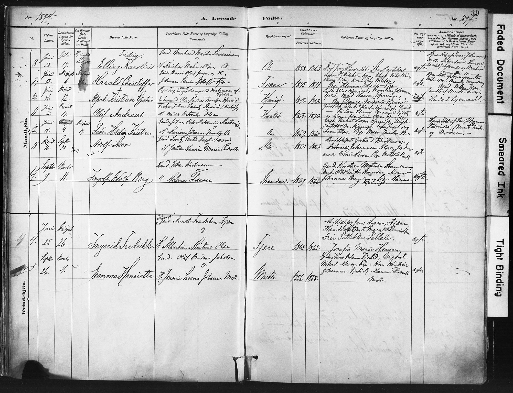 Ministerialprotokoller, klokkerbøker og fødselsregistre - Nordland, SAT/A-1459/803/L0071: Parish register (official) no. 803A01, 1881-1897, p. 39