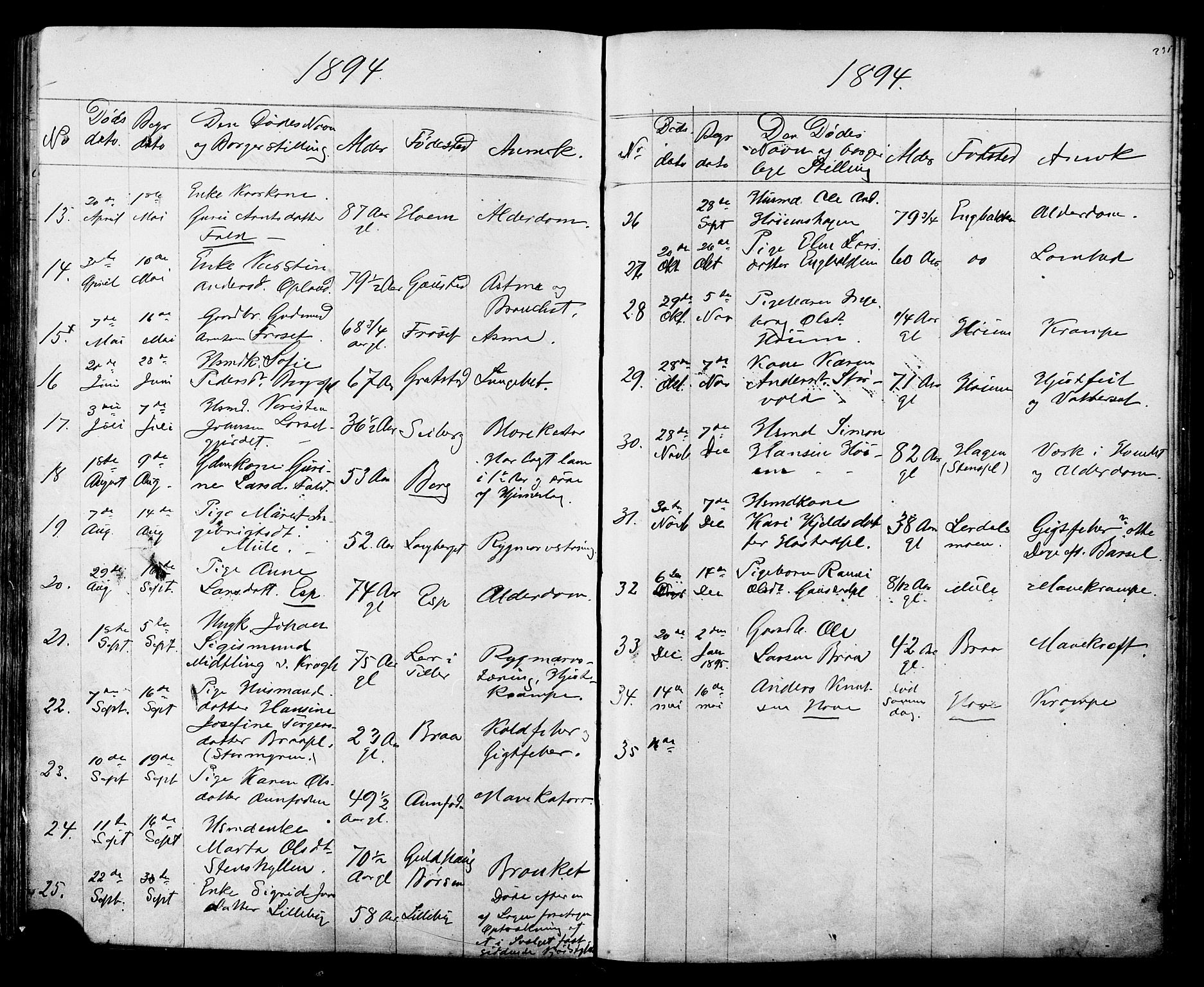 Ministerialprotokoller, klokkerbøker og fødselsregistre - Sør-Trøndelag, AV/SAT-A-1456/612/L0387: Parish register (copy) no. 612C03, 1874-1908, p. 235