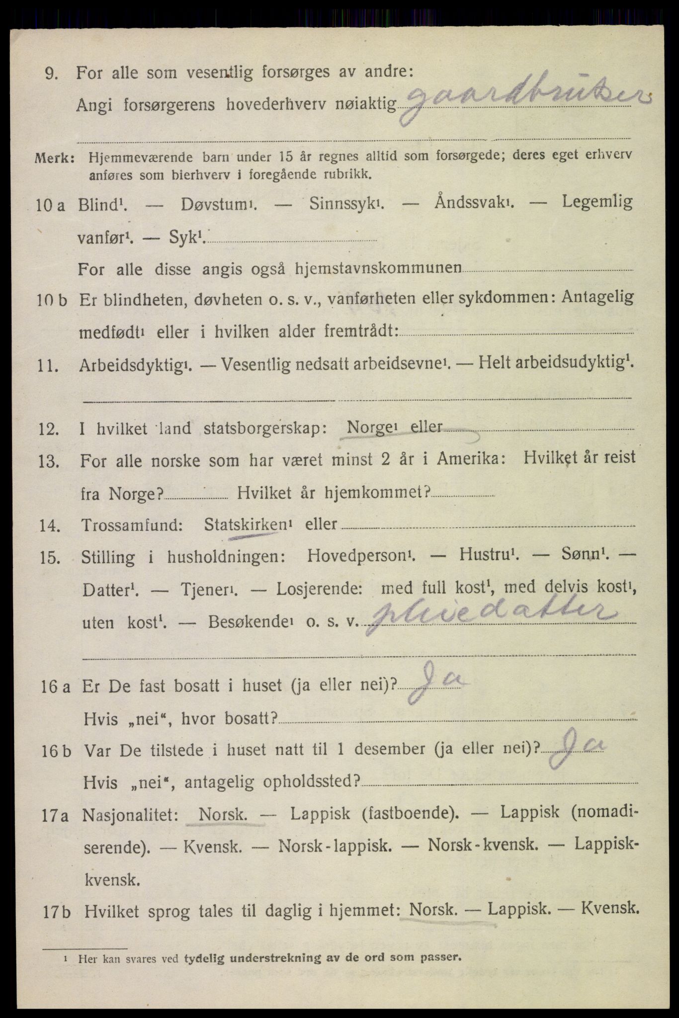 SAT, 1920 census for Bø, 1920, p. 8511