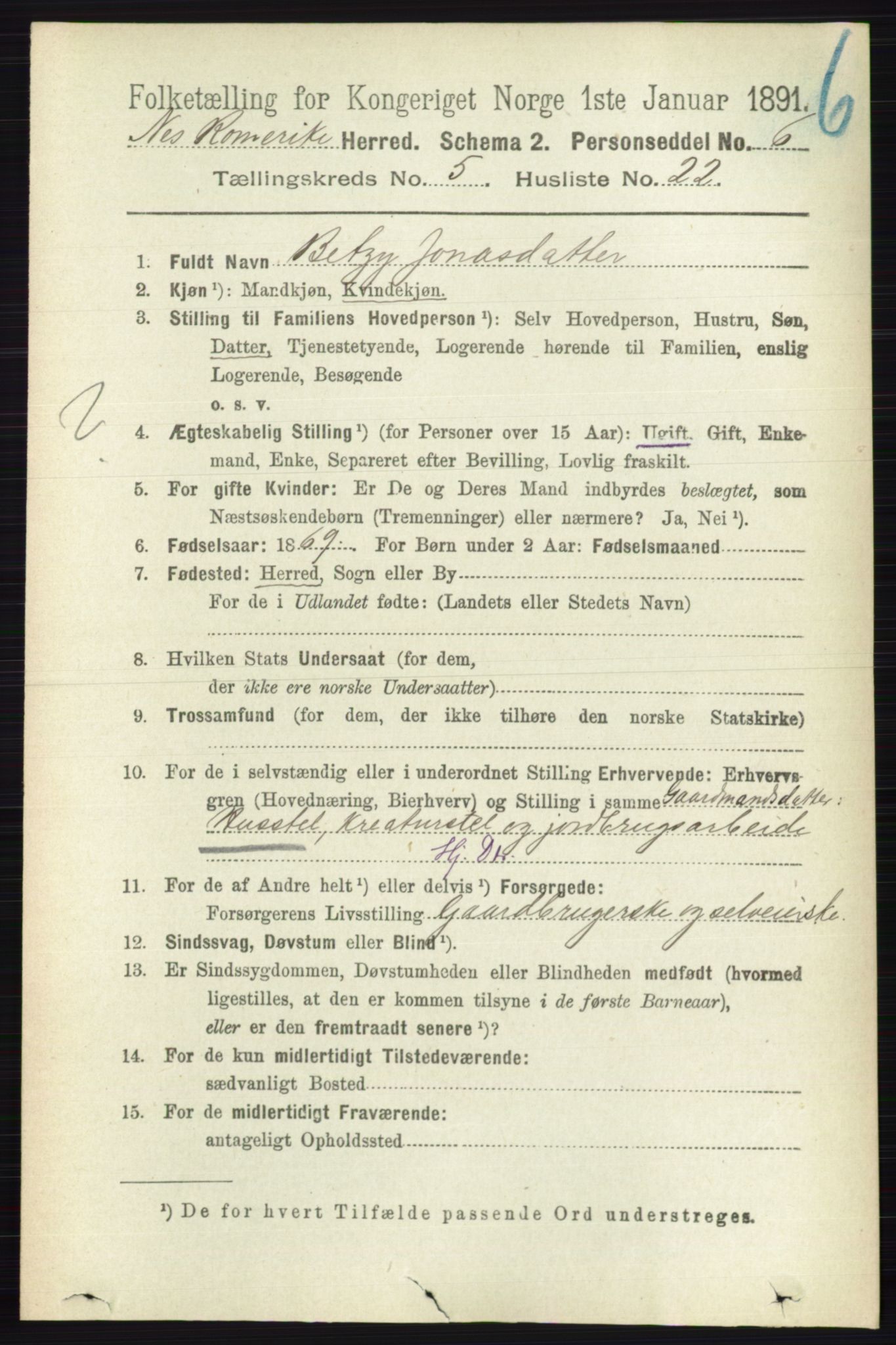 RA, 1891 census for 0236 Nes, 1891, p. 2914