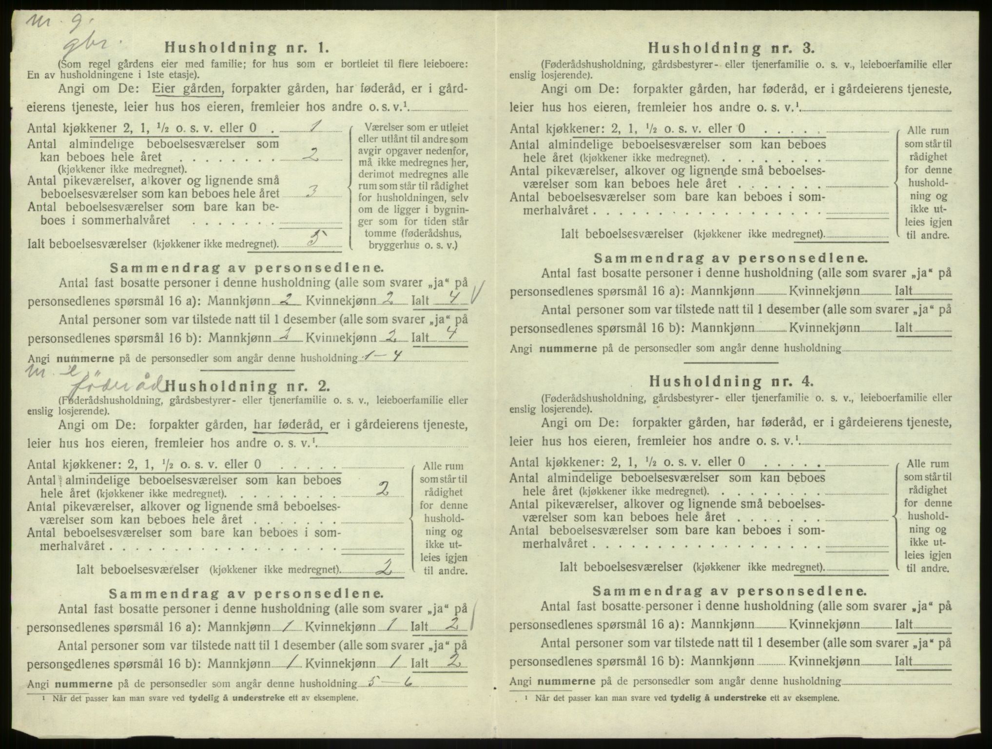 SAB, 1920 census for Hafslo, 1920, p. 166