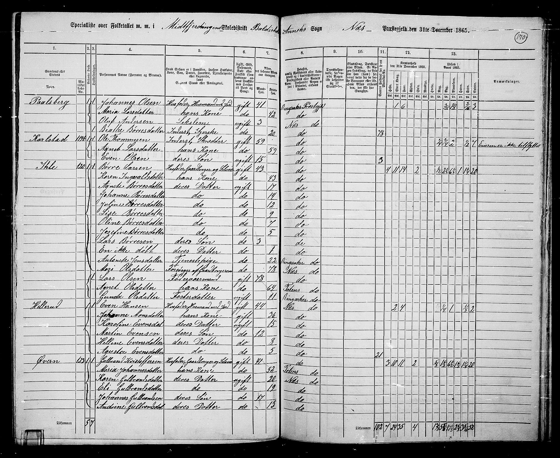 RA, 1865 census for Nes, 1865, p. 146