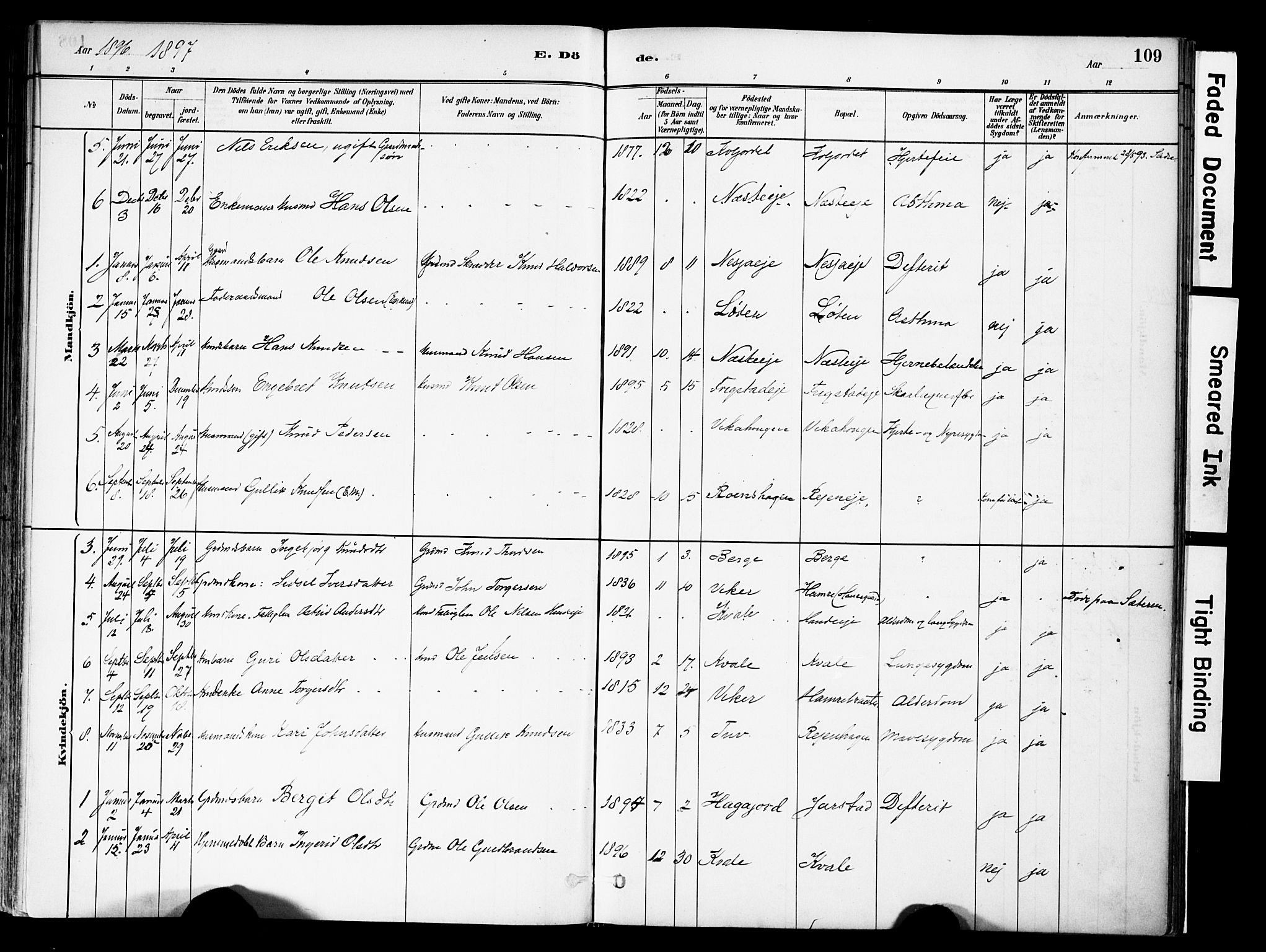 Vestre Slidre prestekontor, SAH/PREST-136/H/Ha/Haa/L0004: Parish register (official) no. 4, 1881-1911, p. 109