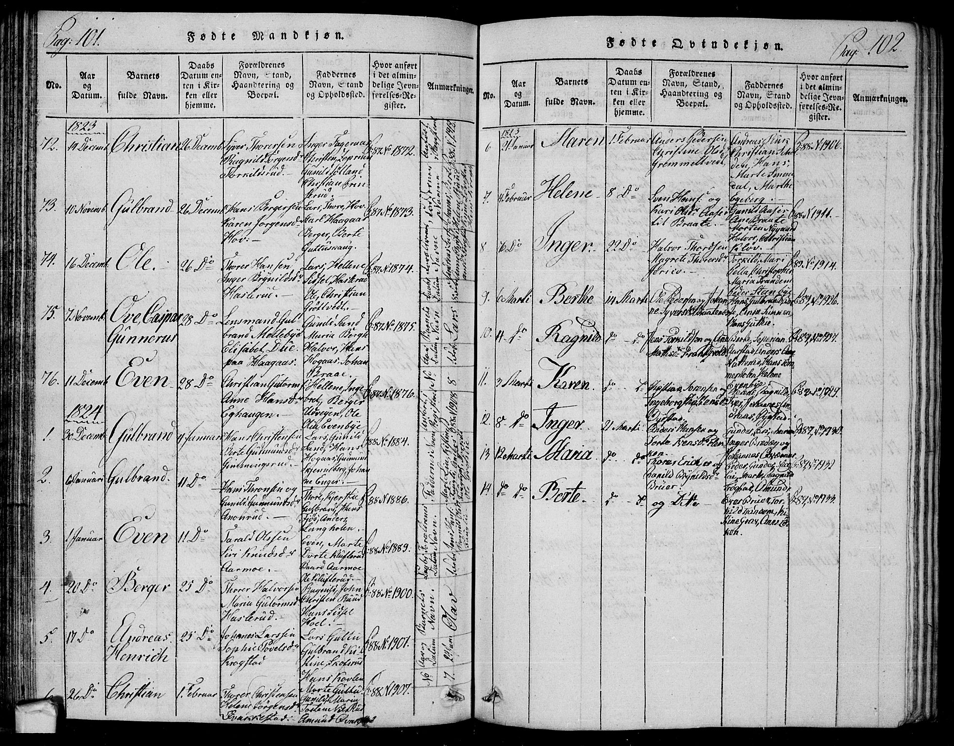 Trøgstad prestekontor Kirkebøker, SAO/A-10925/G/Ga/L0001: Parish register (copy) no. I 1, 1815-1831, p. 101-102