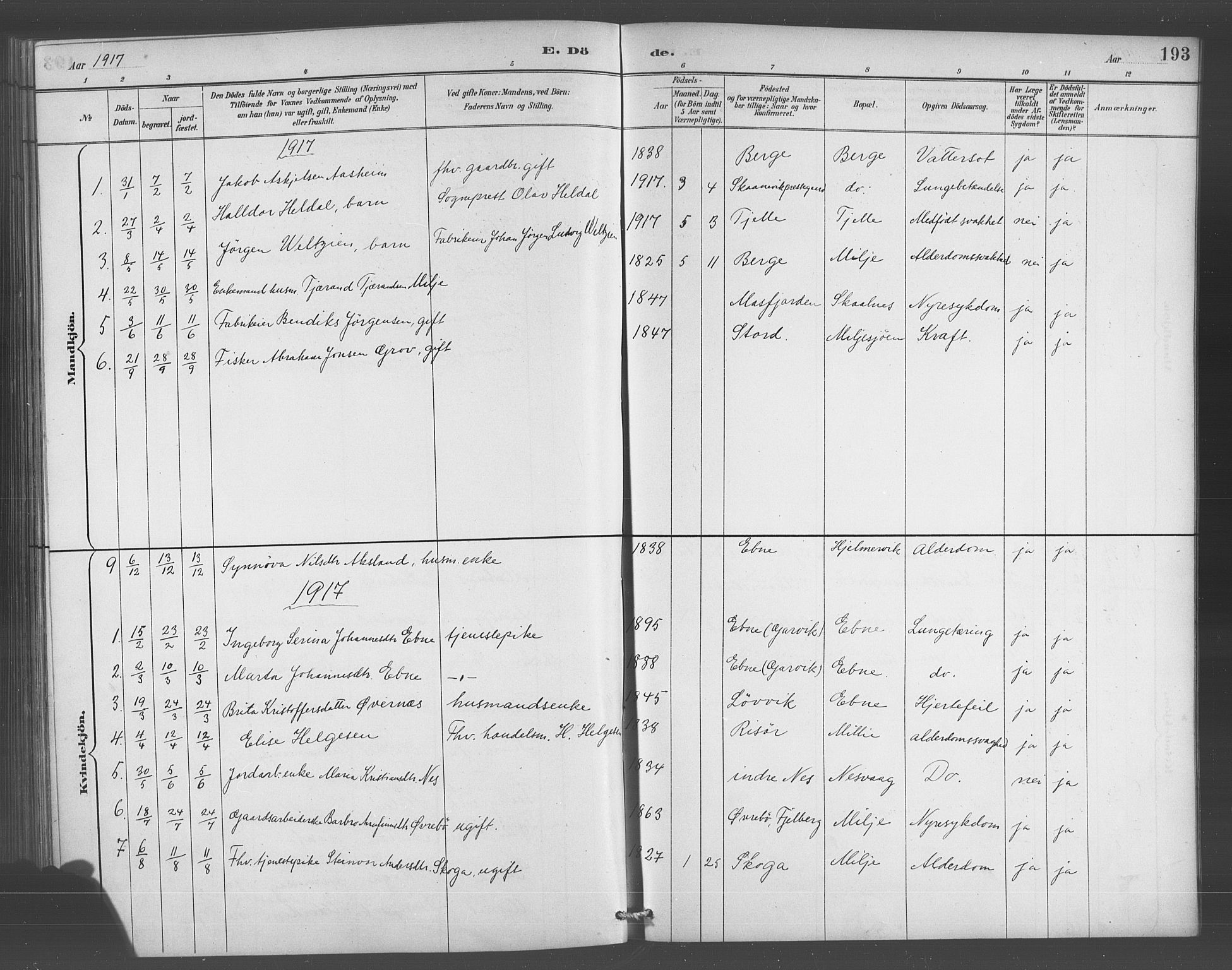 Skånevik sokneprestembete, AV/SAB-A-77801/H/Hab: Parish register (copy) no. A 2, 1888-1924, p. 193