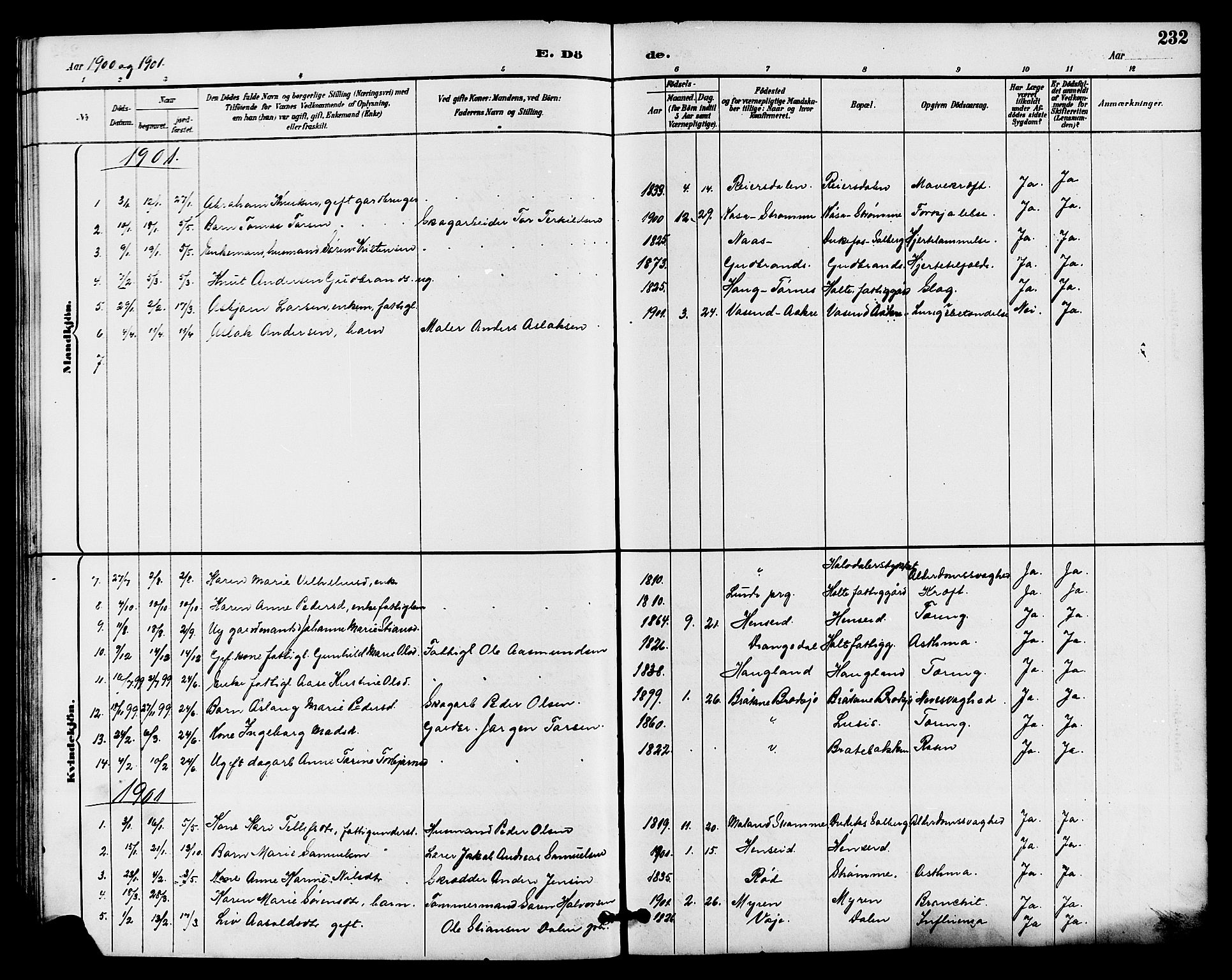 Drangedal kirkebøker, AV/SAKO-A-258/G/Ga/L0003: Parish register (copy) no. I 3, 1887-1906, p. 232