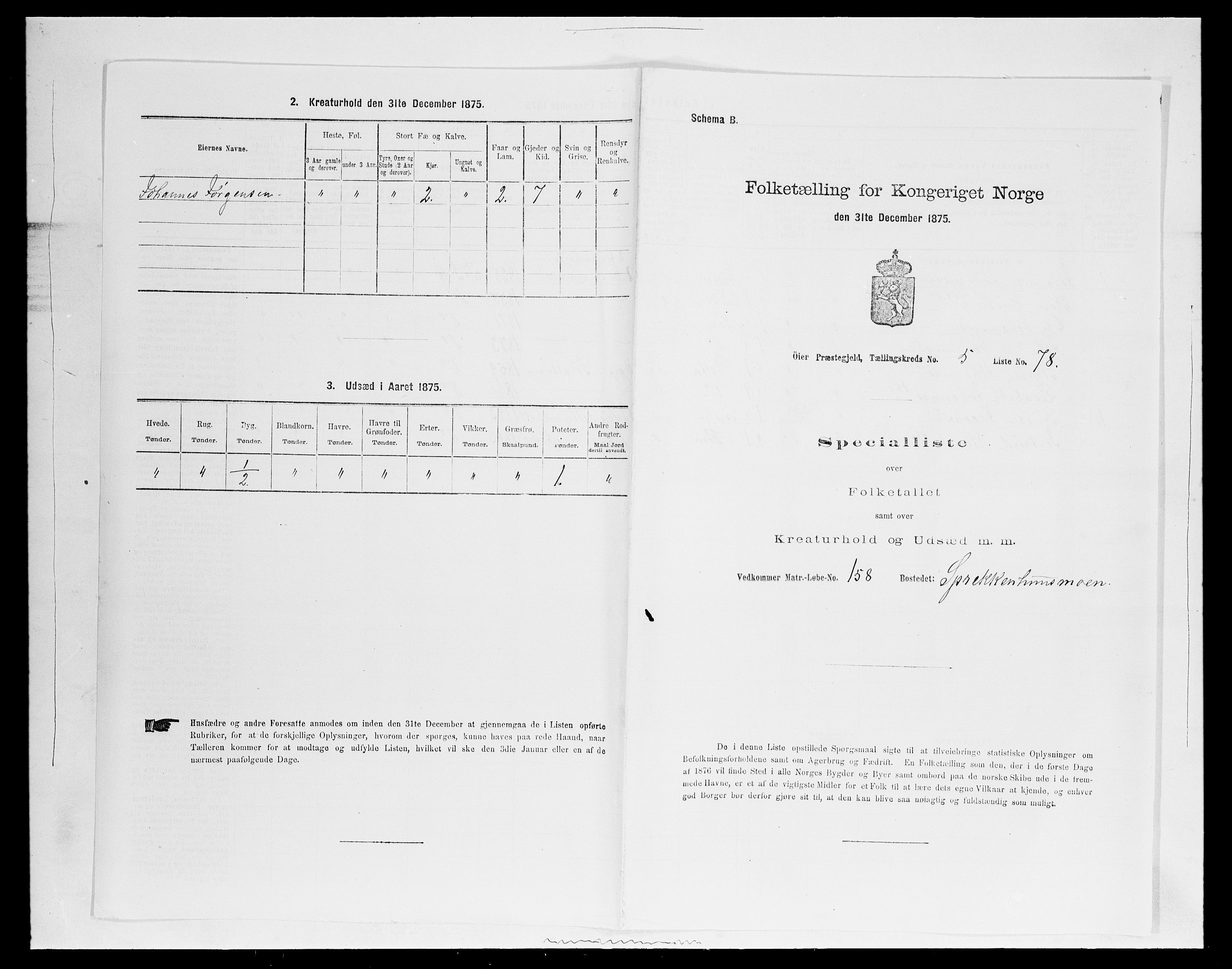 SAH, 1875 census for 0521P Øyer, 1875, p. 1110