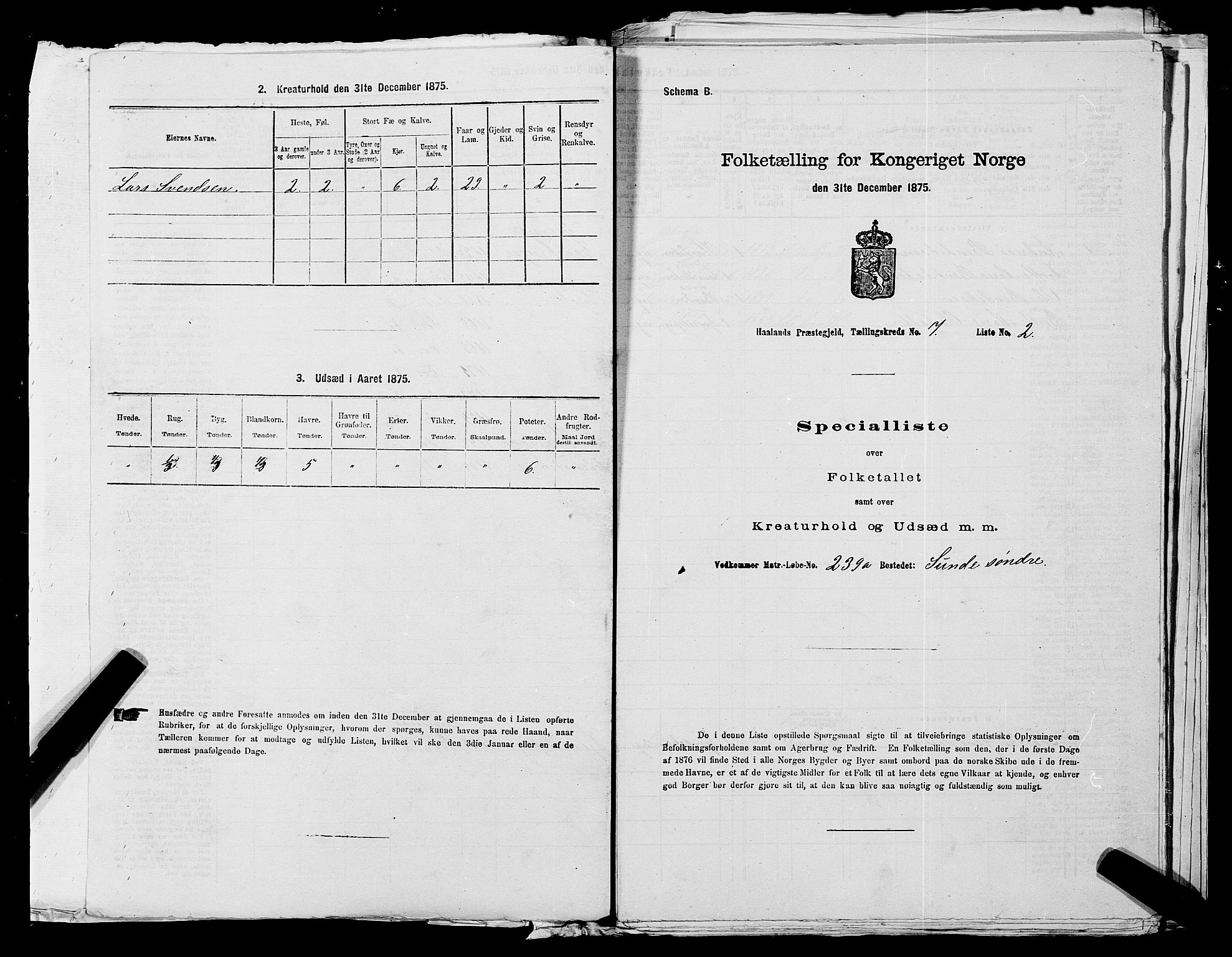 SAST, 1875 census for 1124P Håland, 1875, p. 1010