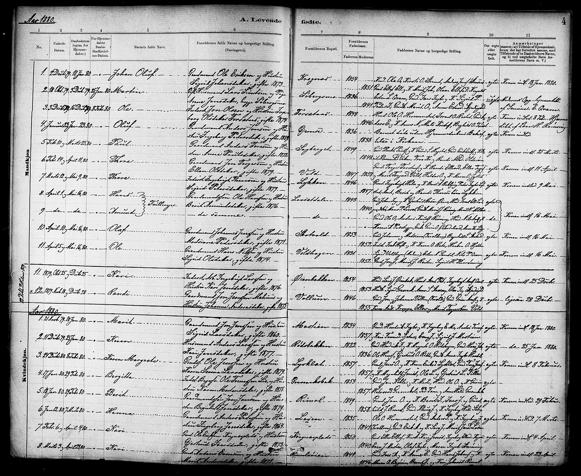 Ministerialprotokoller, klokkerbøker og fødselsregistre - Sør-Trøndelag, SAT/A-1456/691/L1094: Parish register (copy) no. 691C05, 1879-1911, p. 4