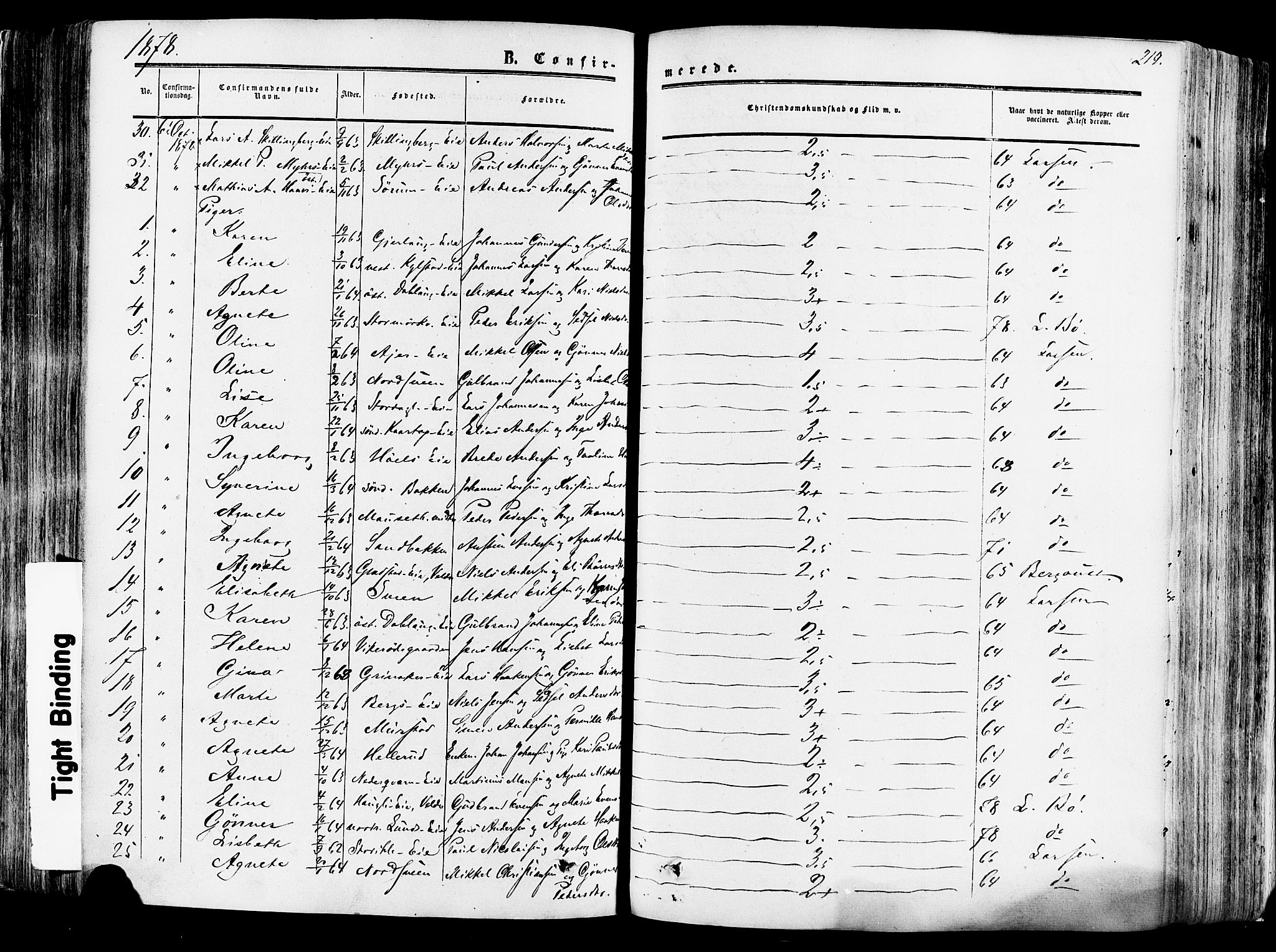 Vang prestekontor, Hedmark, SAH/PREST-008/H/Ha/Haa/L0013: Parish register (official) no. 13, 1855-1879, p. 219