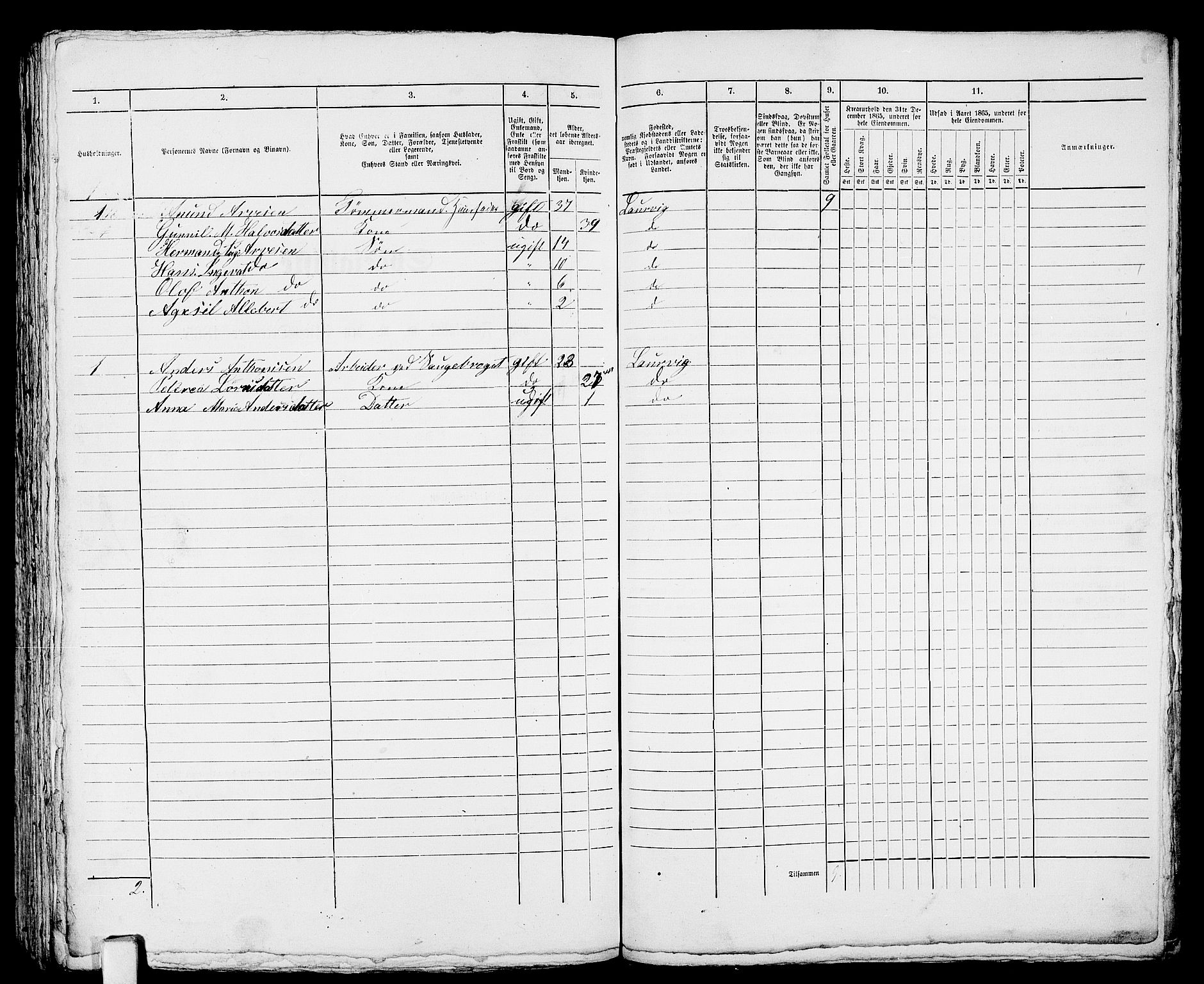 RA, 1865 census for Larvik, 1865, p. 619