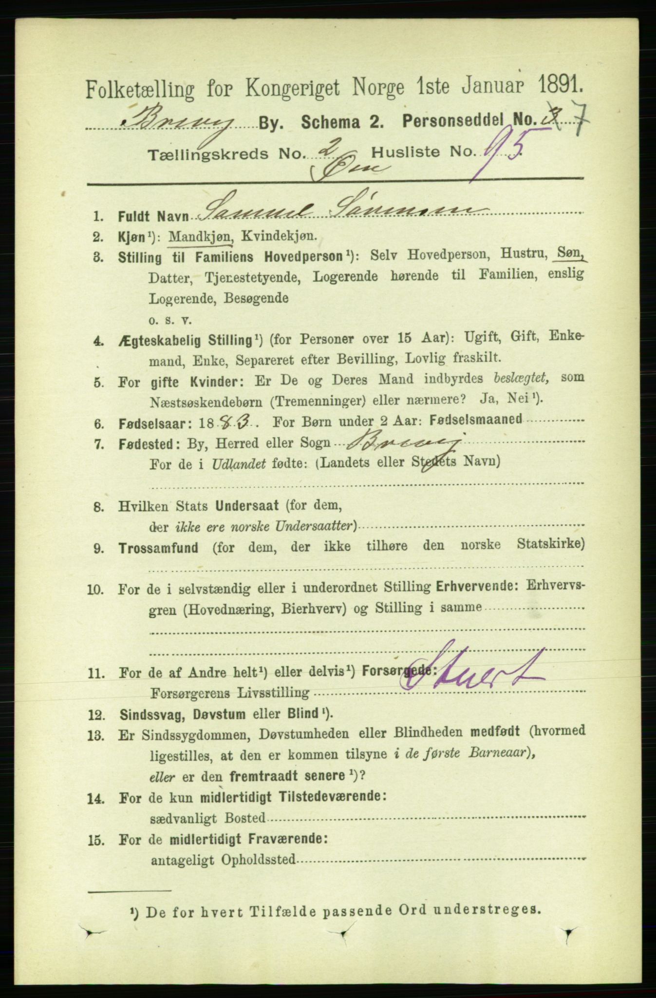 RA, 1891 census for 0804 Brevik, 1891, p. 2146